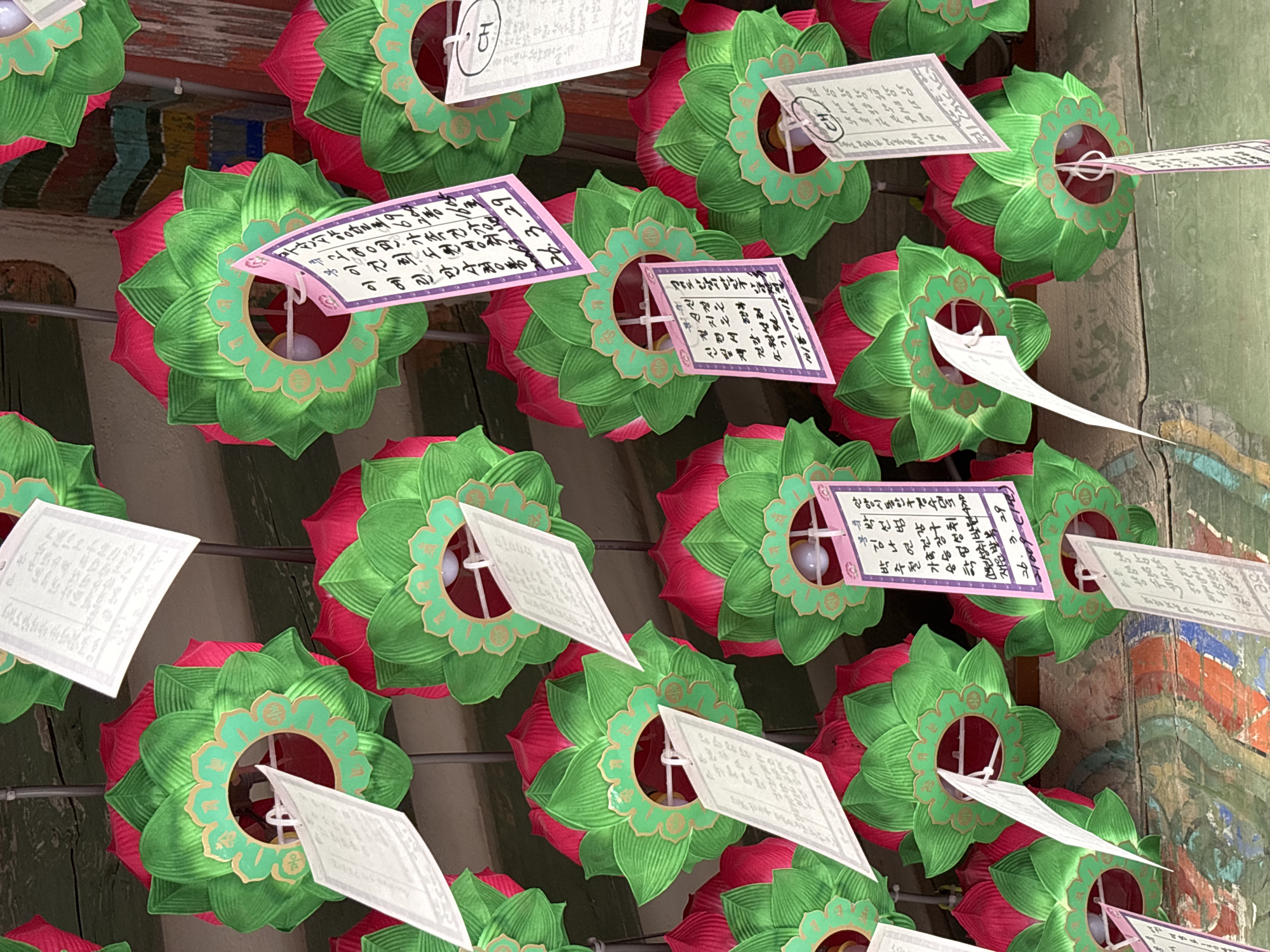 The image shows a close-up, low-angle view of numerous Korean lotus lanterns hanging from the ceiling of a building, likely a temple in Gyeongju-si, South Korea. The lanterns are predominantly green with red accents, arranged in multiple rows. Many of the lanterns have white or pink paper tags attached to them, covered in Korean script. The background consists of a wooden structure with painted horizontal stripes in various colors. The lighting is dim, creating shadows and highlighting the textures of the lanterns and the wooden ceiling. There are no people visible in the image.