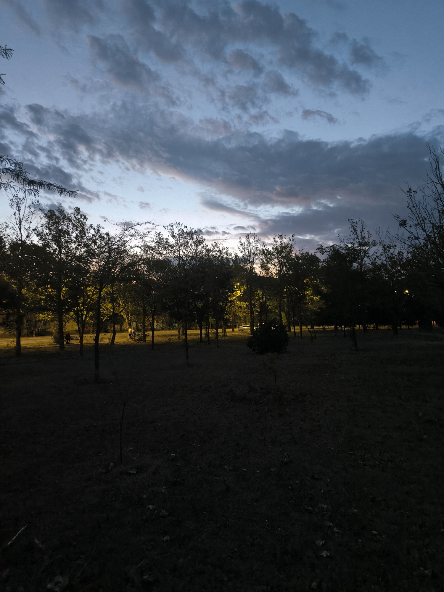 The image depicts a park at dusk. The sky is overcast with dramatic clouds, illuminated by the fading light. A line of trees with sparse foliage forms a backdrop, with streetlights casting a warm glow among them. In the distance, a few people are visible, one sitting on a bench, and others walking. A white car is parked on a road to the left. The foreground is a dark, grassy field with some scattered leaves. The overall impression is a quiet, atmospheric scene in a public park as night falls. The location is specified as a park in Mykolaiv, Ukraine.
