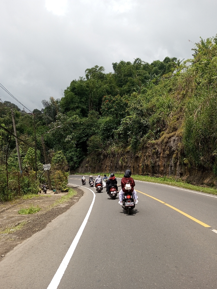The image captures a procession of at least six individuals riding motor scooters on an asphalt road in Chendenbji, Bhutan. The riders are observed from behind, traveling away from the camera and ascending a gentle rightward curve. The road is marked with a solid white line along its left edge and a solid yellow line separating lanes. To the left of the roadway, a dirt shoulder transitions into a wire fence, followed by multiple utility poles supporting overhead wires, and dense green vegetation. Two additional motorcycles are parked on an unpaved patch near a utility pole, which also displays a white sign with black text. To the right of the road, a steep, heavily vegetated embankment rises, densely covered in green foliage and trees that extend to the upper frame. The sky above is overcast and uniformly light grey. The closest rider wears a dark helmet, a maroon or red hooded jacket, light-colored pants, and a small white backpack, operating a dark-colored scooter. The scooter's license plate displays "D 3721 PA."
