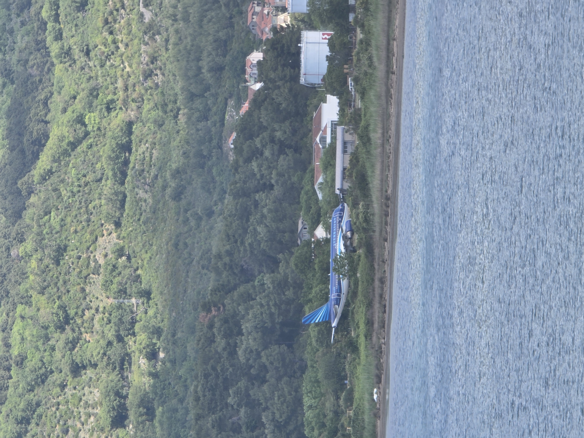 The image depicts the skeletal remains of an airplane, likely an abandoned or purposefully placed structure, situated between a densely forested area and a body of water, possibly the Adriatic Sea. The airplane's exterior is painted in shades of blue and white. The coastline is fringed with vegetation, and several buildings are visible amidst the trees. The location is in the vicinity of Đuraševići, Montenegro, as indicated by the characteristic topography and vegetation of the region. The environment seems tranquil and deserted. There are no visible individuals or signs of activity in the immediate vicinity of the aircraft.