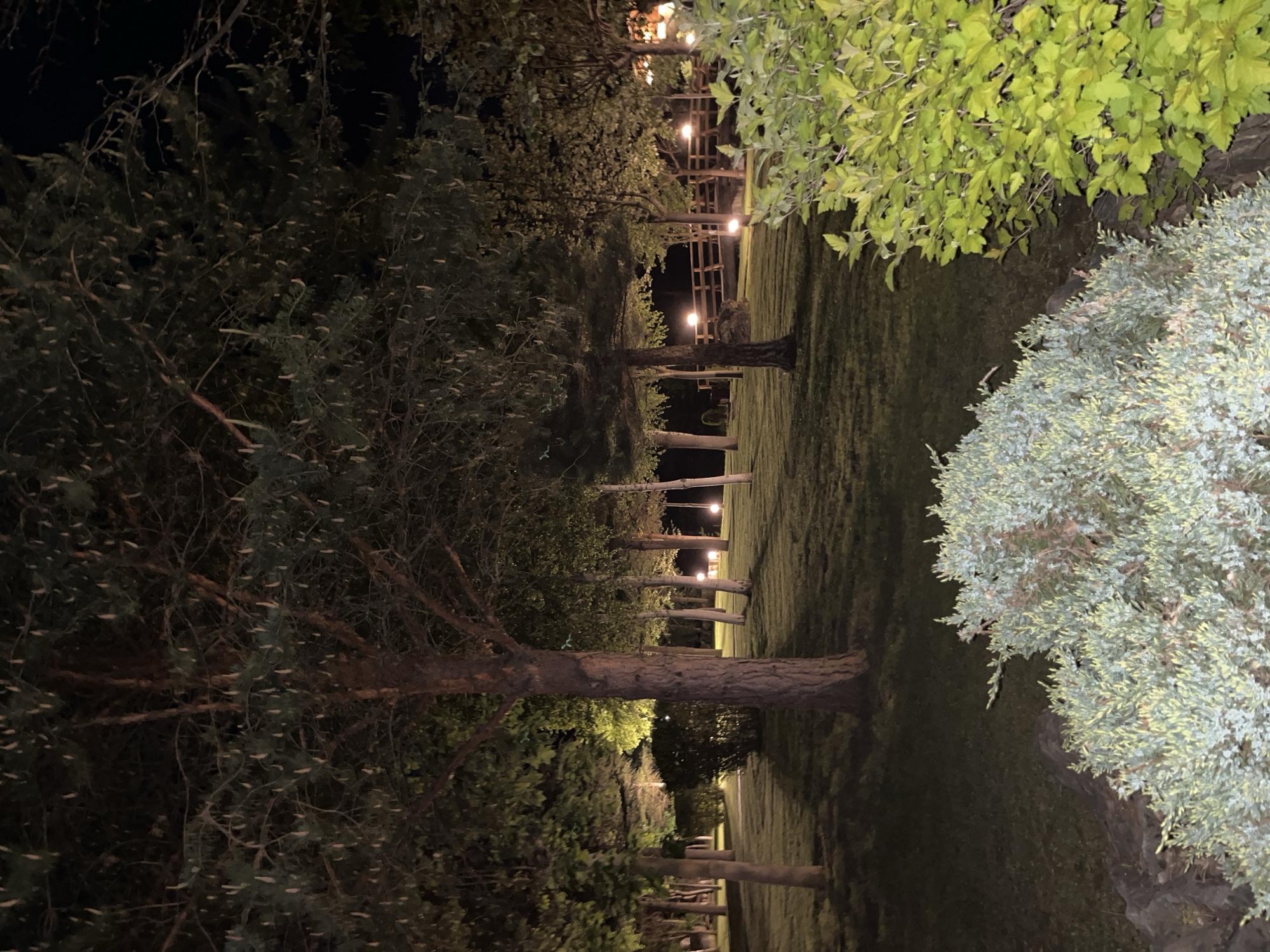 This appears to be an image of a park or garden at night. It features trees, shrubbery, a grassy lawn, and lighting fixtures. The image has been rotated. Light fixtures are visible in the distance. The location may be in Koprivlen, Bulgaria.