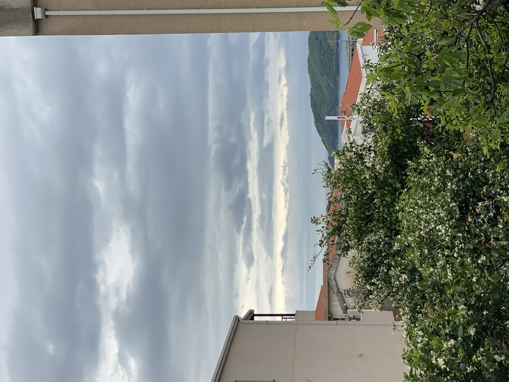 This image presents a scenic, elevated view of a coastal area in Budva, Montenegro, under an overcast sky.
The upper half of the frame is dominated by a dramatic sky filled with horizontally stretched stratus clouds. These clouds range from darker gray to brighter white where diffuse light, likely from the sun, filters through, creating a textured and dynamic appearance.
In the mid-ground, a body of water, likely the Adriatic Sea or a bay, extends across the scene, appearing calm and reflecting the muted light. On the right, a large, densely forested mountain rises majestically from the water, covered in lush green trees. A faint yellow construction crane can be seen in the far distance above the water, near the mountain.
The lower and right portions of the image feature elements of the coastal town. Several buildings with distinct terracotta-tiled roofs are visible, interspersed with lighter-colored facades. On the far left in the foreground, part of a modern building with a flat roof and a dark railing is visible. Abundant green foliage fills much of the foreground and mid-ground on the right. Dense bushes, many adorned with small white blossoms, contribute to the verdant landscape. A tree with larger, broad green leaves, possibly a fig tree, extends from the upper right corner. A red and white striped pole is visible amidst the buildings and trees on the right.
The scene depicts a quiet daytime moment, with no human activity taking place. The weather appears to be cloudy but not stormy, providing soft, even lighting. The combination of mountains, sea, red-tiled roofs, and rich vegetation strongly indicates a Mediterranean or Adriatic coastal setting, confirmed by the provided location context of Budva, Montenegro. There is no visible text in the image.