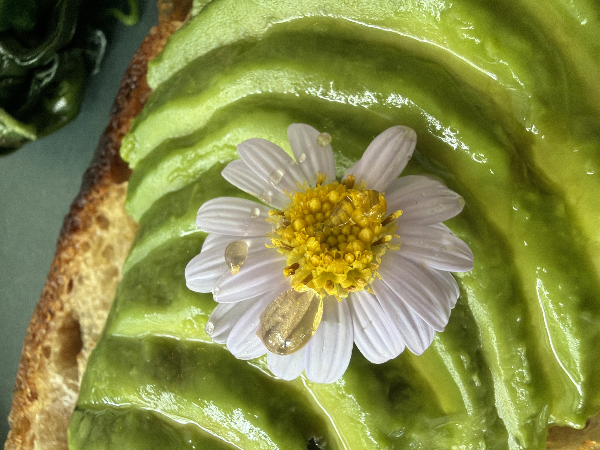 This is a close-up, overhead shot of an avocado toast with a small daisy placed on top. The toast has a thick layer of mashed avocado, which is bright green and has a creamy, rippled texture. Several glistening water droplets are visible on the avocado, reflecting the light. The daisy, centered on the avocado, has delicate white petals and a vibrant yellow center. It also has water droplets on its petals. To the left of the toast, a dark green, leafy vegetable, possibly a side salad or garnish, is partially visible. The toast itself appears to be on a piece of bread with a golden-brown, slightly charred crust. The background is a muted teal color, suggesting a simple plating or surface. The lighting is bright and highlights the glossy texture of the avocado and the translucence of the water droplets. The overall impression is one of freshness and a delicate culinary presentation. There is no visible text in the image. The setting is suggested to be Baan Bo Phut, Thailand.