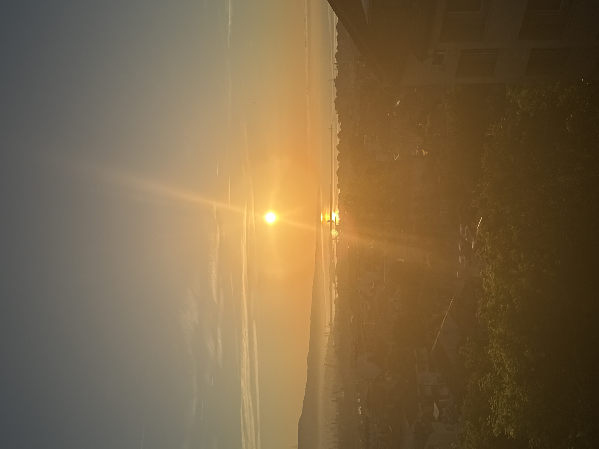An aerial perspective captures a city at sunrise. The sun, a bright orb, hangs low in the sky, casting a warm golden glow over the scene. The sky transitions from a soft blue at the top to a pale yellow and orange near the horizon, with faint wisps of clouds. Below, a sprawling city stretches out, its buildings appearing as muted shapes bathed in the hazy sunlight. In the distance, a body of water is visible, reflecting the sun's light. Mountains form a silhouette against the horizon. The foreground is dominated by trees and the roofs of buildings, giving a sense of depth to the urban landscape. The overall impression is one of tranquility and the beginning of a new day.