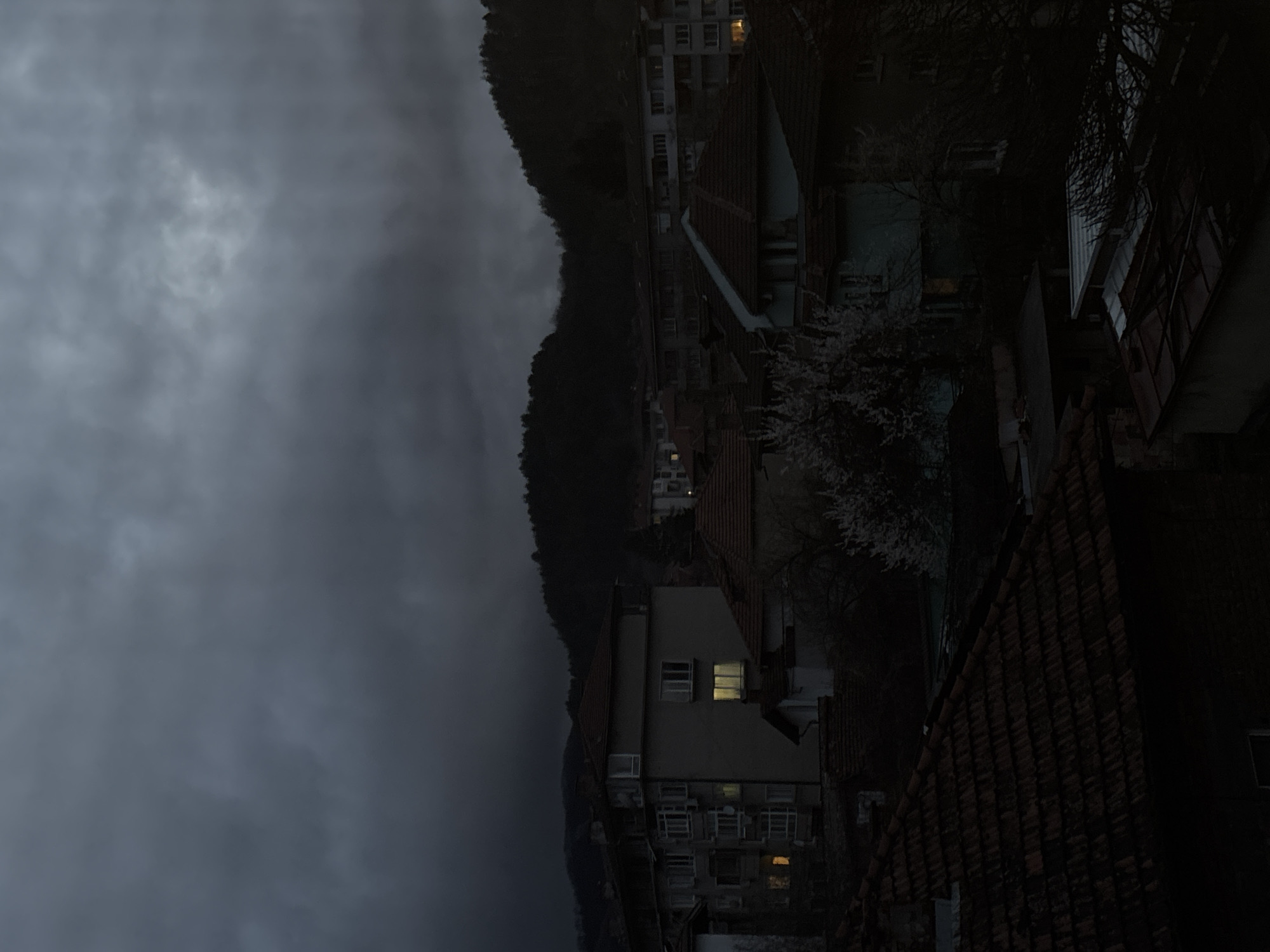 An elevated, wide-angle photograph captures a residential area in Troyan, Bulgaria, under a heavily overcast, dark gray sky at dusk or early night. The background features dark, densely tree-covered hills rising above the town. In the midground, a light-colored, multi-story apartment building is prominent on the left, displaying multiple windows and balconies, with several windows emitting a yellow-orange internal light. To its right, various other residential structures, some with dark red-tiled roofs, are partially visible, one of which shows a single illuminated window on the far right. The foreground is dominated by the dark, textured surfaces of multiple red-tiled roofs belonging to closer buildings. A cluster of light-colored, possibly blossoming trees or shrubs is visible in the mid-to-foreground, providing a contrast against the surrounding darkness. No individuals are visible in the scene.