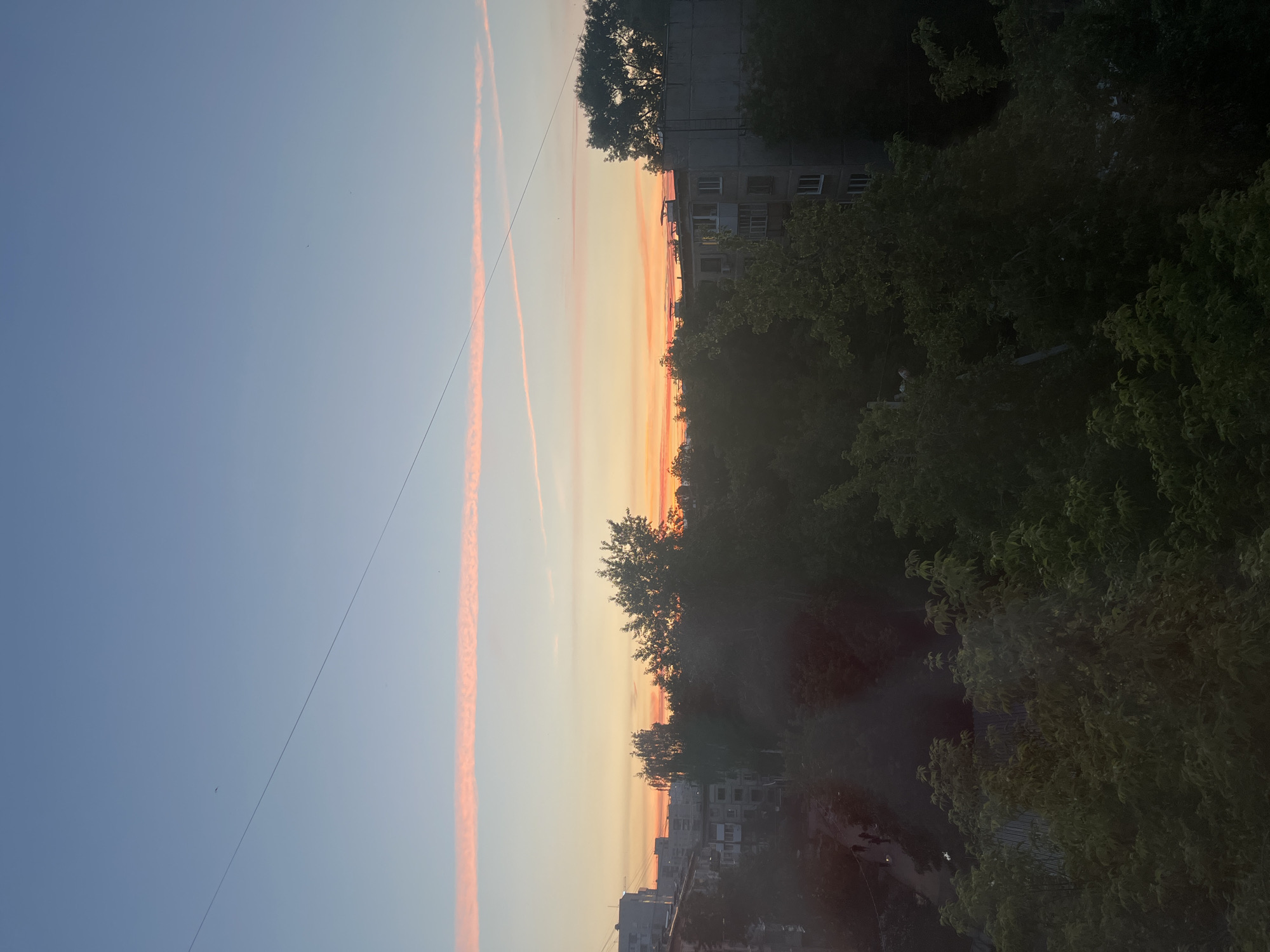 The image, correctly oriented, depicts a scenic sunrise or sunset over an urban or suburban environment. The sky occupies the majority of the frame, showcasing a beautiful gradient from a soft, clear blue at the top to warm, vivid shades of yellow, orange, and deep red along the horizon. Two distinct, elongated contrails, colored pink and orange by the low sun, stretch across the sky. Several tiny, dark specks, possibly birds or insects, are faintly visible against the blue sky.
A thin, dark power line or communication cable extends diagonally across the upper-middle section of the sky. The horizon line features an intense band of orange and red light, indicating the sun is either rising or setting just beyond the visible frame. Below the sky and horizon, a dense canopy of trees forms a dark, undulating silhouette. The trees, appearing to be deciduous with full foliage, obscure much of the middle ground, although hints of green leaves are discernible where light catches them.
Several multi-story buildings are partially visible, mostly silhouetted or deeply shadowed, interspersed among and behind the trees. These structures feature visible windows and suggest a residential or mixed-use urban setting. The overall lighting and color palette strongly indicate either sunrise or sunset, creating a serene and atmospheric scene at the transition of day and night. No visible text is present in the image.