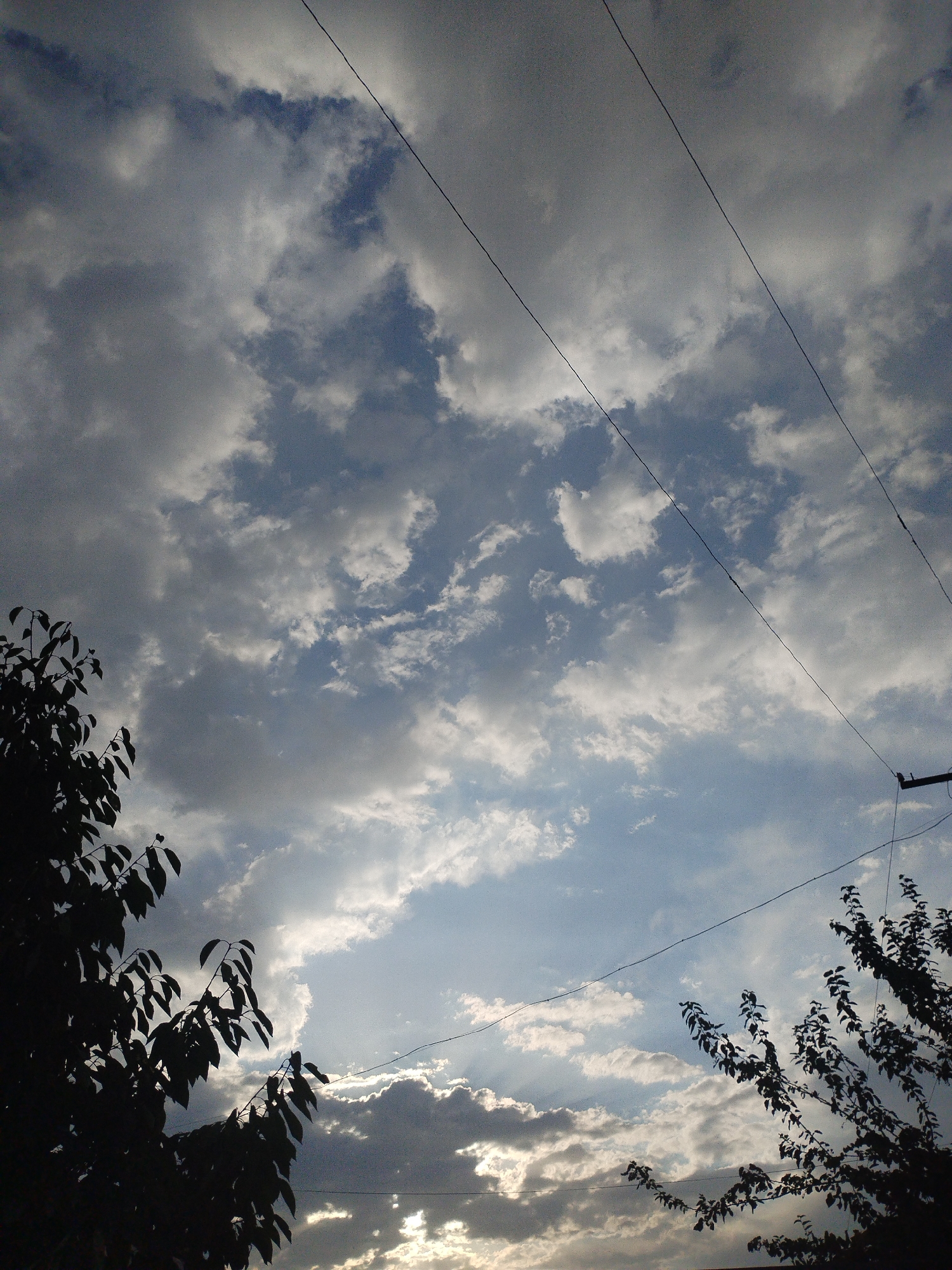 The image depicts a cloudy sky with patches of blue visible, possibly in Kyzyl-Kyya, Kyrgyzstan. Several dark, silhouetted tree branches are prominent in the foreground, framing the sky from the left and right edges of the frame. Thin, dark power lines crisscross the sky diagonally, with one appearing to connect to a utility pole visible on the right side of the image. The lighting suggests it could be late afternoon or early evening, with the sun partially obscured by clouds, creating diffused light rays that are visible in some areas. There are no people or animals present in the scene. The overall environment appears to be an outdoor setting, likely a residential or semi-rural area, given the presence of trees and power lines.