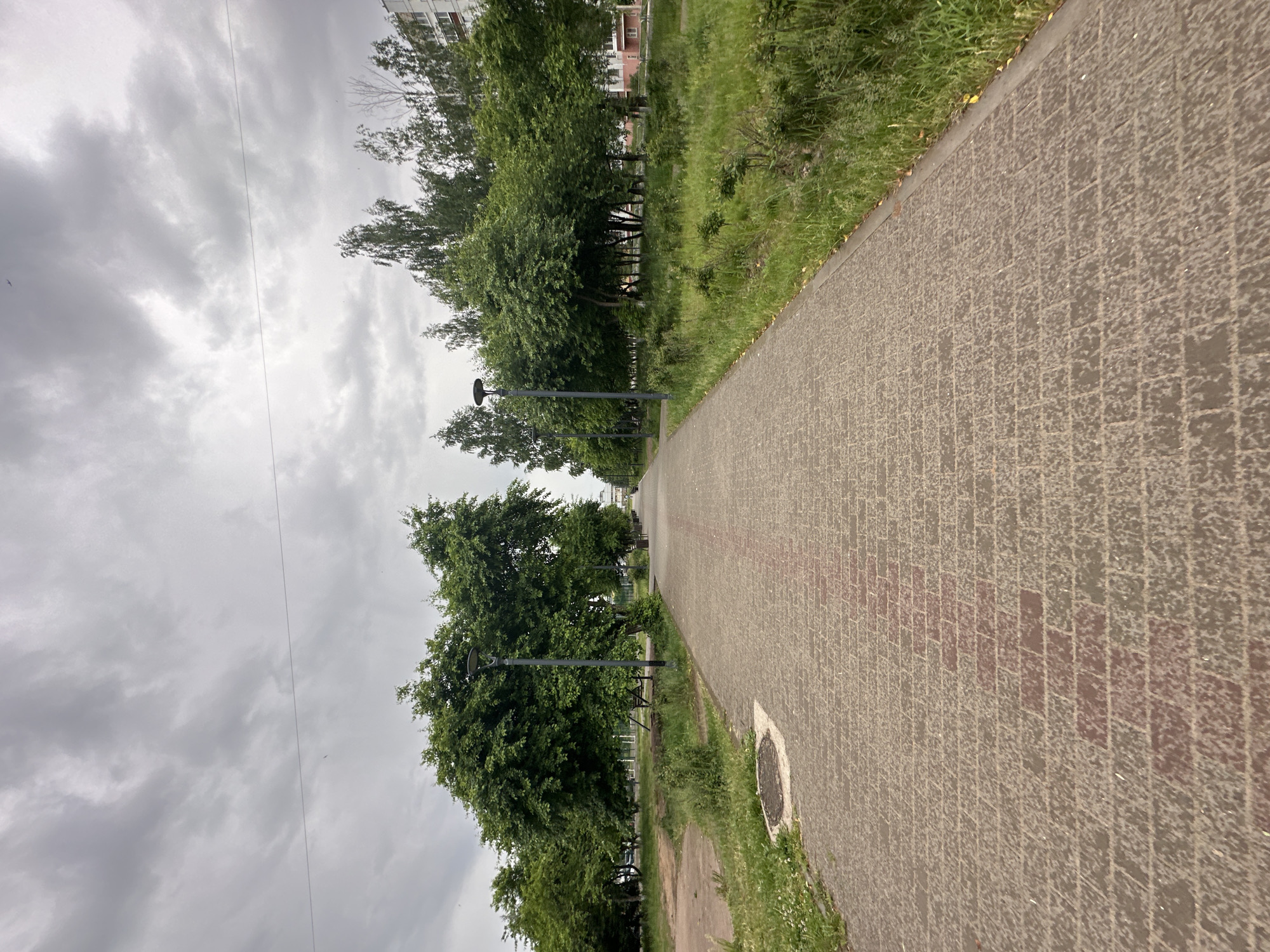The image captures a paved pedestrian pathway under an overcast sky, likely in Chaikovsky, Russia. The pathway, constructed from rectangular pavers, features a mix of grey, brown, and reddish tones, with the reddish sections becoming more prominent further down its length. To the left of the path, a strip of green grass and weeds borders the pavement, leading to a line of dense green trees.
Several dark streetlights with contemporary lamp designs are positioned along the tree-lined side of the pathway. In the distance, behind the trees, parts of multi-story buildings are faintly visible. The sky is entirely covered with thick, grey clouds, indicating overcast weather. A thin, dark wire stretches horizontally across the upper part of the sky.
In the foreground, on the right side of the paved path, a circular, dark manhole cover is present. No people are visible, and no specific activity or event is taking place; the scene is static and quiet. The weather appears damp or cool due to the heavy cloud cover and the subtle sheen on the pavement. There is no visible text in the image. The scene portrays a typical urban green space or park path within a residential district.