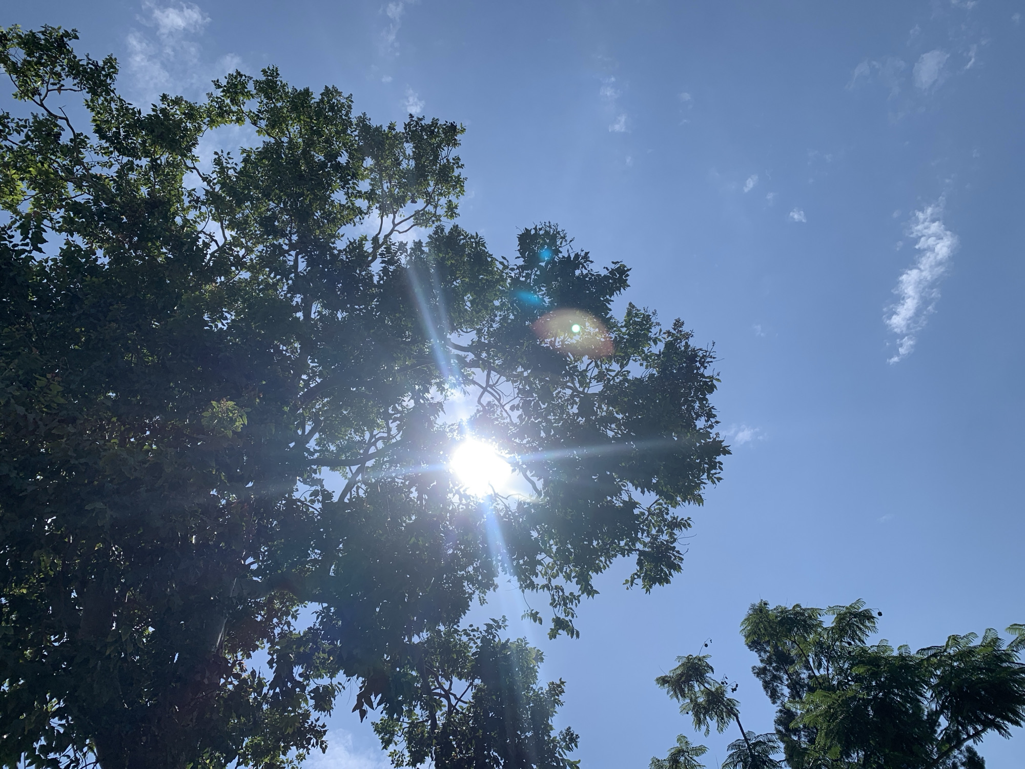 The image shows a view looking up through the branches of a tree towards a bright sun and a blue sky with scattered white clouds. The sun is shining intensely, creating lens flare and rays of light visible within the frame. The leaves of the tree are dark green, and some branches are visible silhouetted against the sky. The overall scene suggests a sunny day outdoors. There are no people or specific identifiable structures visible that would indicate a precise location in Kuru Karama, Nigeria.