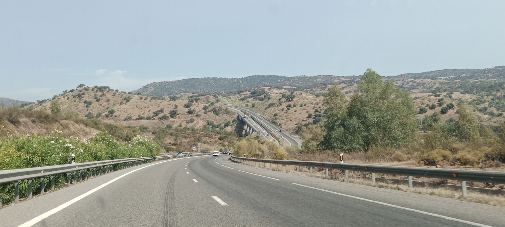 A wide-angle, high-angle shot depicts a two-lane asphalt road curving through a hilly, arid landscape under a clear, light blue sky. The road, marked with white dashed lines and a solid white line on the left edge, has visible tire tracks near the center. On the left side of the road, a metal guardrail runs along the edge, with a dense growth of green bushes and white flowers just beyond it. On the right side, a similar metal guardrail is present, with dry, yellow-brown vegetation and scattered trees behind it. In the mid-ground, a multi-lane highway with a prominent concrete overpass or viaduct is visible traversing the terrain, with several vehicles on it. The surrounding hills are covered in sparse, dry vegetation and dotted with scattered trees. The distant background shows more rolling hills with similar arid vegetation and a few scattered trees. The overall impression is a remote, dry, Mediterranean climate. The image is taken from a vehicle moving along the road, suggesting a travel or transportation context. The location is identified as El Garrobo, Spain.