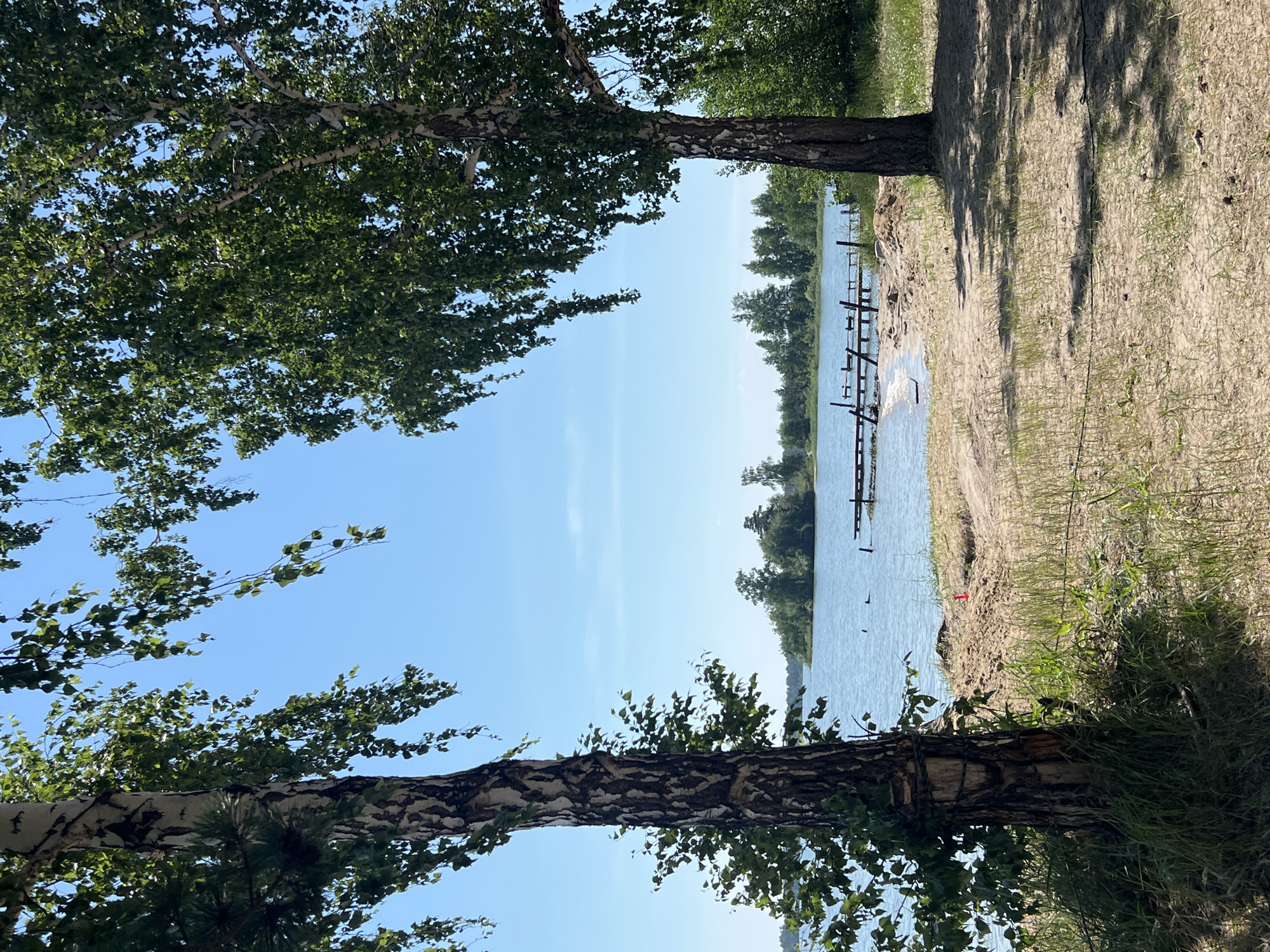 The image depicts a tranquil lakeside scene under a clear blue sky, likely in Borovoe, Russia. In the foreground, two large birch trees frame the view, their white bark and green leaves contrasting with the sandy ground. One tree is to the left, its trunk partially obscured by its own foliage and the trunk of a smaller conifer. The other birch is to the right, casting a shadow on the sand. The sand itself is a light tan color, with sparse green grass growing in patches. A thin, dark wire runs horizontally across the sandy area.
Beyond the immediate sandy bank, a calm, blue lake stretches out, meeting a distant treeline of various shades of green. A weathered wooden pier extends into the water from the left side of the frame, with some sections appearing damaged or incomplete. A small red marker is visible on the sand near the water's edge. The water is mostly still, with subtle ripples indicating a gentle breeze. In the distance, several small islands or peninsulas covered in trees dot the horizon. The overall impression is one of a peaceful, natural setting, possibly a beach or park area adjacent to a lake.