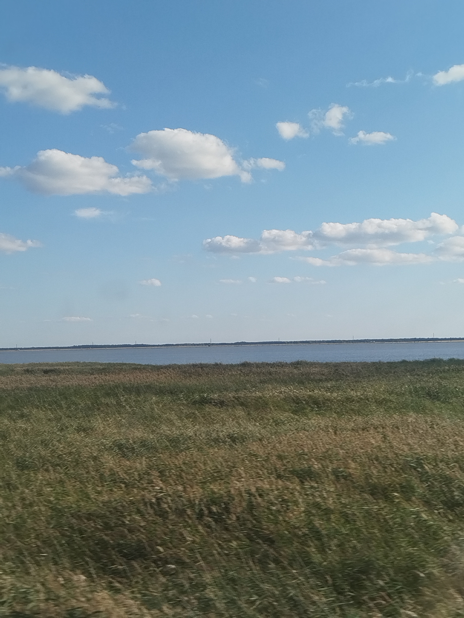 The image depicts a landscape scene under a bright blue sky with scattered white clouds. In the foreground, a field of tall, dry grass with some green hues sways gently. Beyond the grassy field lies a calm body of water, likely a lake or river, with a thin line of trees forming the distant horizon. The overall impression is one of a serene, natural environment, typical of rural areas such as Ust'yantsevo, Russia, especially during the warmer months. There are no people or specific man-made structures visible in the image, emphasizing the natural elements of the scene.
