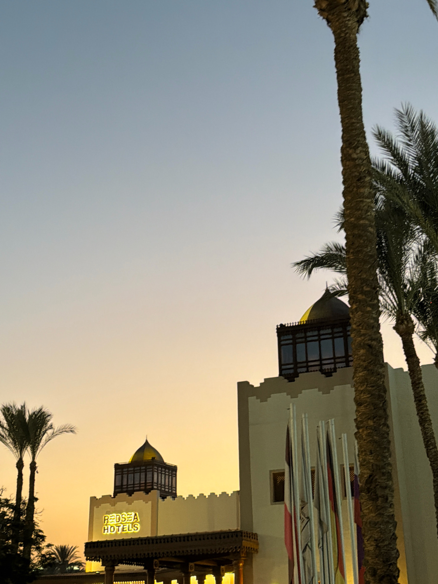 The image captures the exterior of the Red Sea Hotels in Sharm El Sheikh, Egypt, during twilight. The sky transitions from a clear pale blue at the top to a warm orange glow near the horizon. Prominently featured is the hotel's facade, a light-colored structure with distinctive crenellations and a dark-domed turret. The words "RED SEA HOTELS" are illuminated in bright yellow neon letters on the building. Several palm trees, with their textured trunks and fronds, flank the hotel. In front of the building, a row of national flags on poles can be seen. The overall scene suggests a peaceful evening at a resort.