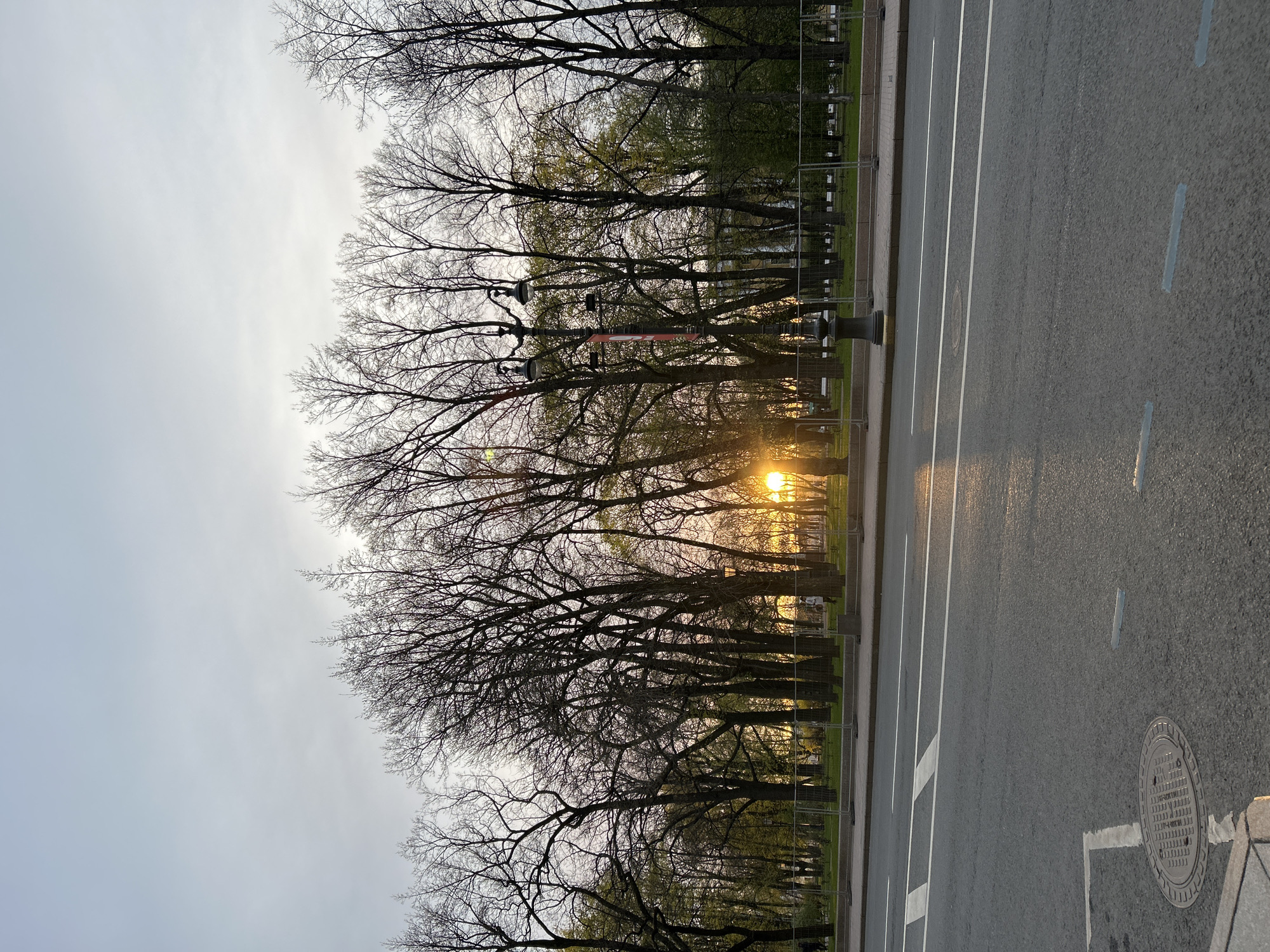 The photograph depicts a street scene, taken at ground level, in what appears to be Saint Petersburg, Russia. The image is oriented vertically. A gray, overcast sky fills the upper portion of the frame, contrasting with the intricate network of bare tree branches in the middle ground. Sunlight pierces through the trees, creating a bright glow that obscures details behind. To the left, the trees line a green space or park, likely demarcated by a temporary metal fence. The right side of the image is dominated by a paved street with white lane markings, indicating multiple lanes. A manhole cover is visible on the bottom right. The overall impression is that of a city street bordering a park, taken during early spring or late fall when trees are without leaves. There is no indication of pedestrian activity.