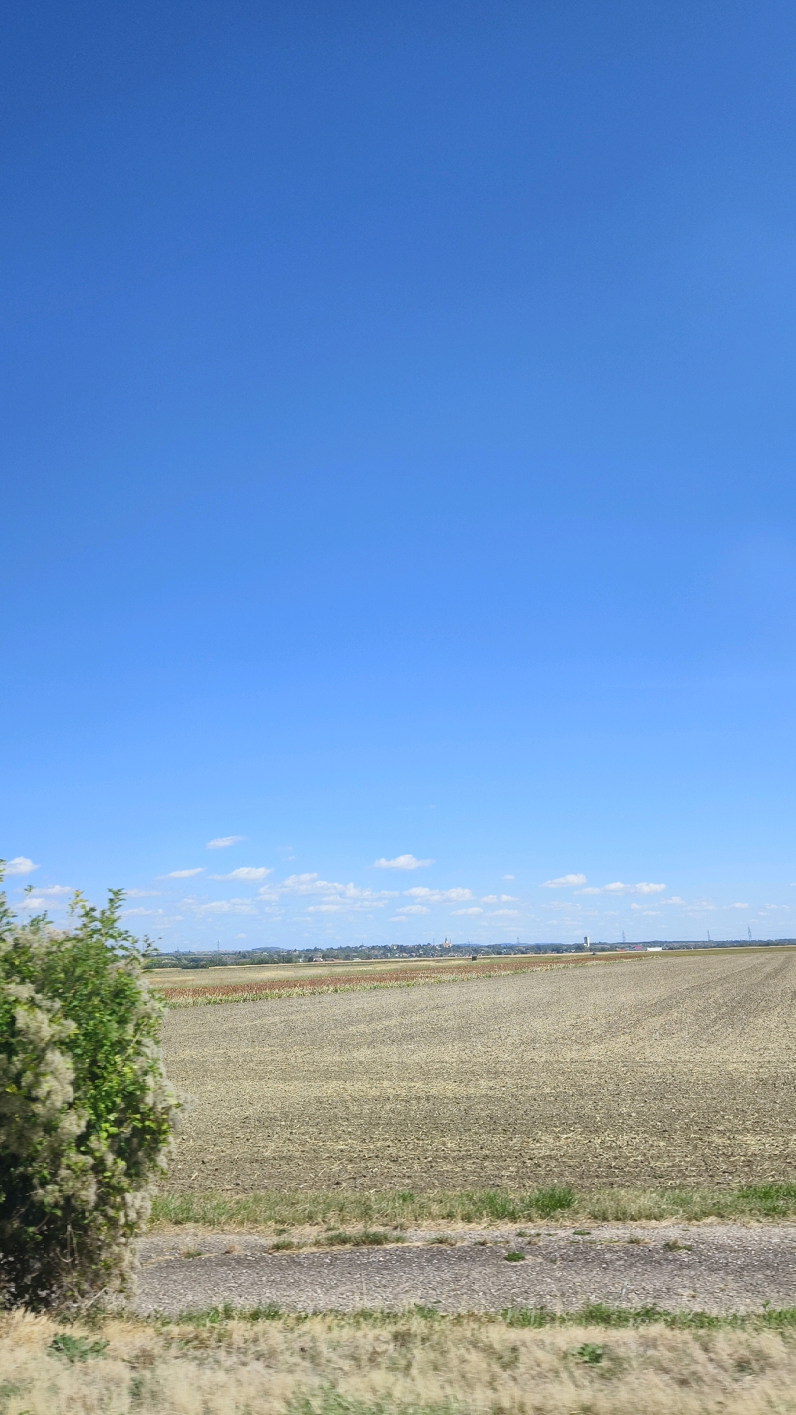 The image shows a rural landscape under a clear blue sky in Kollersdorf, Austria. In the foreground, a bush with fluffy white flowers is on the left, and dry grass lines a paved surface. The middle ground features a large, dry agricultural field. In the distance, a town or village is visible with buildings and structures, and a power line can be seen extending across the horizon. The overall scene depicts a sunny day in a cultivated agricultural area.