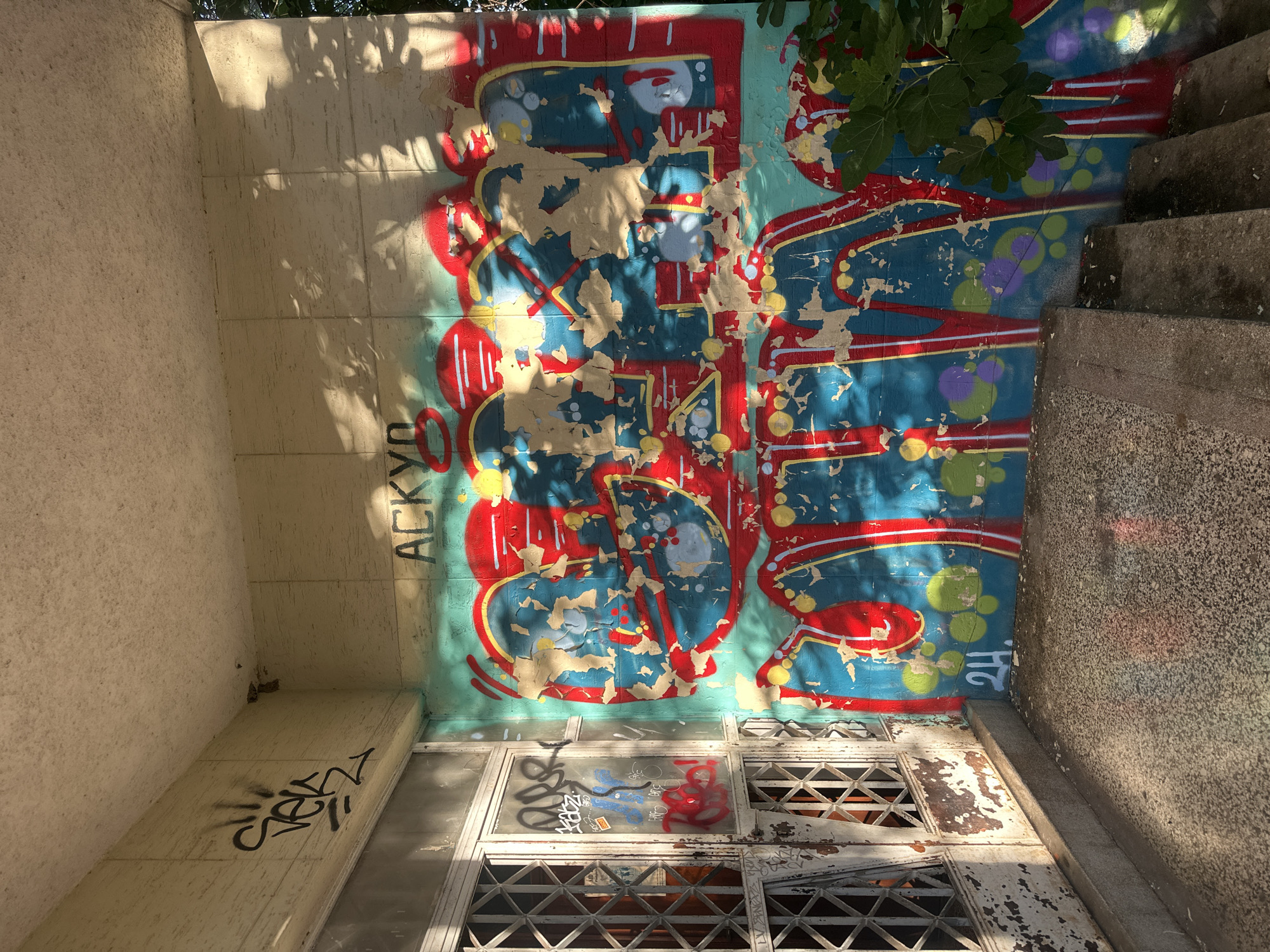 An outdoor scene captured in daylight reveals a vibrant yet weathered urban landscape, likely in Podgorica, Montenegro. The primary focus is a large wall covered in extensive, colorful graffiti that shows significant signs of peeling paint and age. The main artwork features bold red, blue-green, and yellow elements, possibly forming letters or abstract shapes, set against a lighter blue-green background. Smaller purple and light green circles are also visible within the design.
Long, dappled shadows from unseen foliage and possibly nearby structures stretch across the wall and the ground, indicating bright sunlight, likely in the morning or late afternoon. Green leaves from a tree or bush are visible at the upper right, partially obscuring the graffiti.
Below the main graffiti wall is the entrance to what appears to be an old or abandoned building. It features multiple window panes, many of which are covered with intricate, rusted metal security grates. These windows also bear additional, smaller graffiti tags in black, blue, and red. To the right, a set of worn, concrete stairs ascends, partially covered in shadows. On the far left, a plain, textured, light-colored wall forms a corner with the graffitied surface.
Visible text includes Cyrillic letters "АСКУД" (ASKUD) vertically oriented on the left side of the main graffiti. On the bottom right of the main graffiti, the number "24" is painted in white. On a lower concrete ledge to the left of the entrance, indistinct black graffiti text, possibly "CHEZA", is scrawled. The overall impression is one of urban decay contrasted with resilient street art.