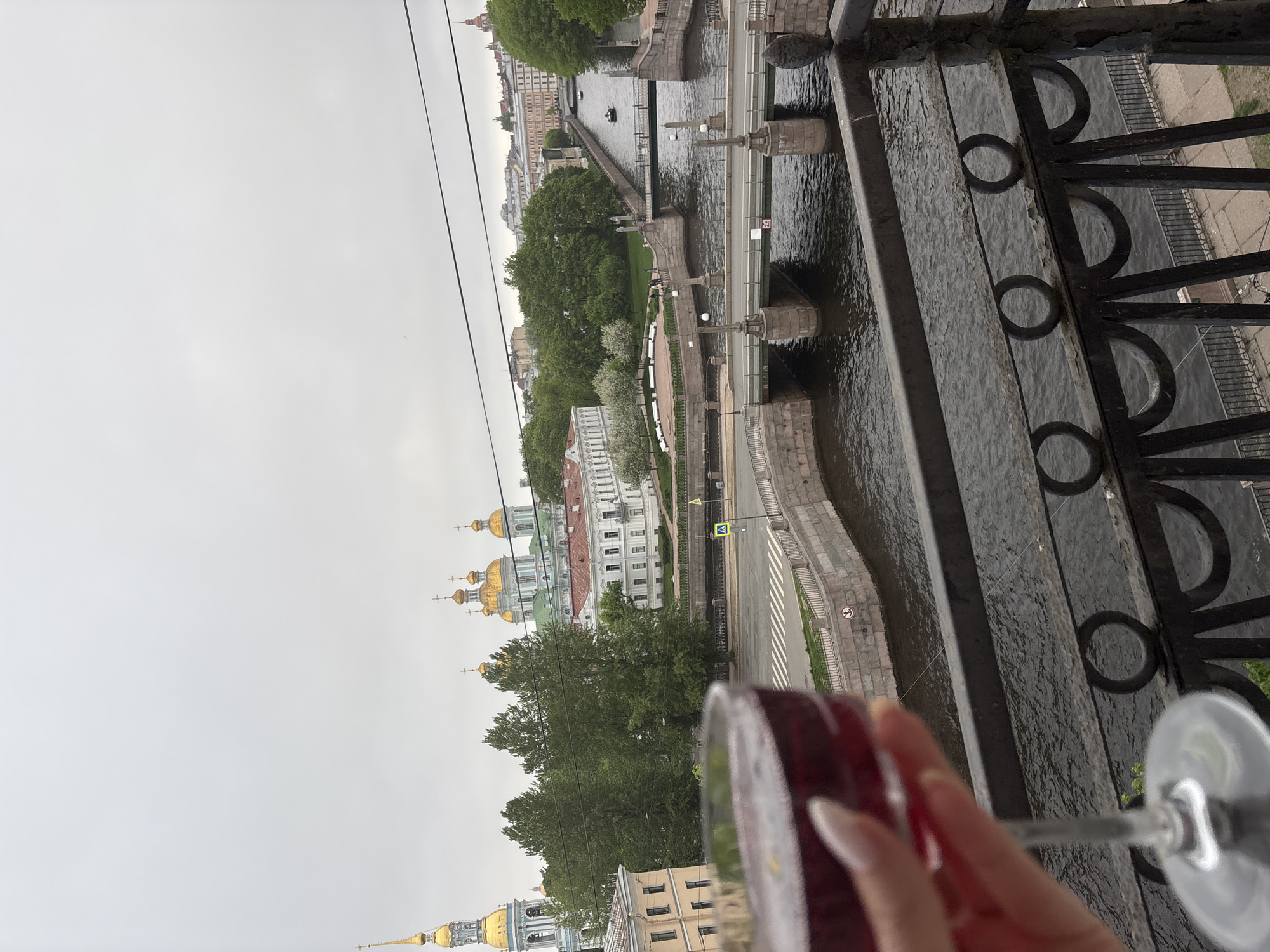 Here's a description of the image:
The image shows an urban view from an elevated position, likely a balcony, in Saint Petersburg, Russia. A hand holds a wine glass with a red liquid, partially obscuring the view. The background features the Moyka River, with bridges and embankments visible. On the riverbank, there are trees, buildings, and pedestrian walkways. Prominent architectural landmarks include the golden domes of St. Nicholas Naval Cathedral and the Smolny Cathedral. The sky is overcast, indicating a cloudy day. A decorative metal railing is in the foreground, adding depth to the composition.