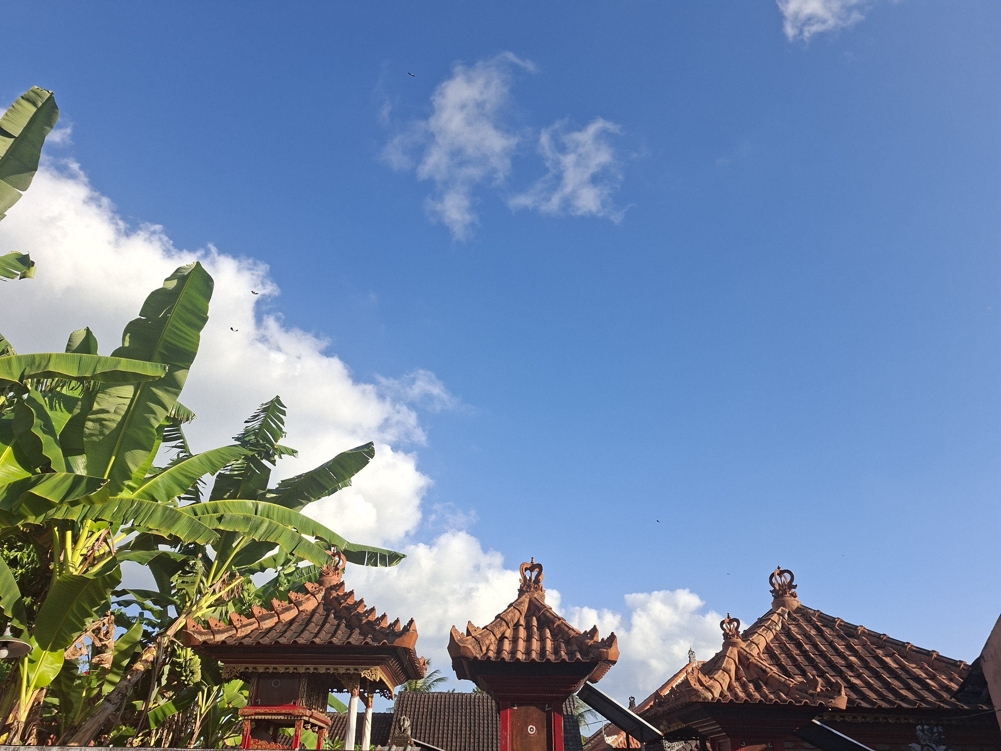 In an outdoor, daytime scene, the upper portions of several ornate, traditional Balinese-style buildings with red-tiled roofs are visible beneath a bright blue sky dotted with scattered white clouds. Lush green banana leaves, some of which are quite large, dominate the left side of the frame, creating a natural canopy. The architecture features intricate carvings and decorative elements, including crowns atop some of the roof peaks. The overall impression is one of tropical beauty and cultural heritage. The image captures a tranquil moment, likely in a temple or a residential area featuring traditional Balinese design.
