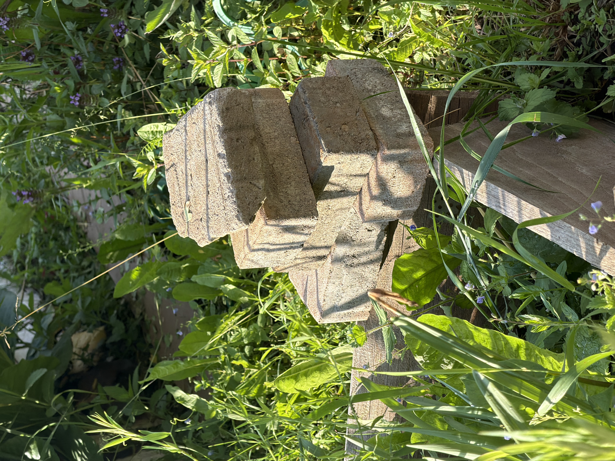 A stack of four weathered, light brown bricks is arranged in a stepped pyramid on a wooden structure in a lush, sunlit outdoor environment. The bricks are approximately rectangular with visible textured surfaces. The wooden structure appears to be a simple, rustic construction, possibly part of a garden or yard feature. The surrounding area is overgrown with various green plants and grasses, some with small purple flowers. The sunlight casts distinct shadows on the bricks and the surrounding foliage, indicating a sunny day. The background is filled with more greenery, suggesting a natural or garden setting within the city of Petukhi, Russia. There are no people or animals visible in the image.