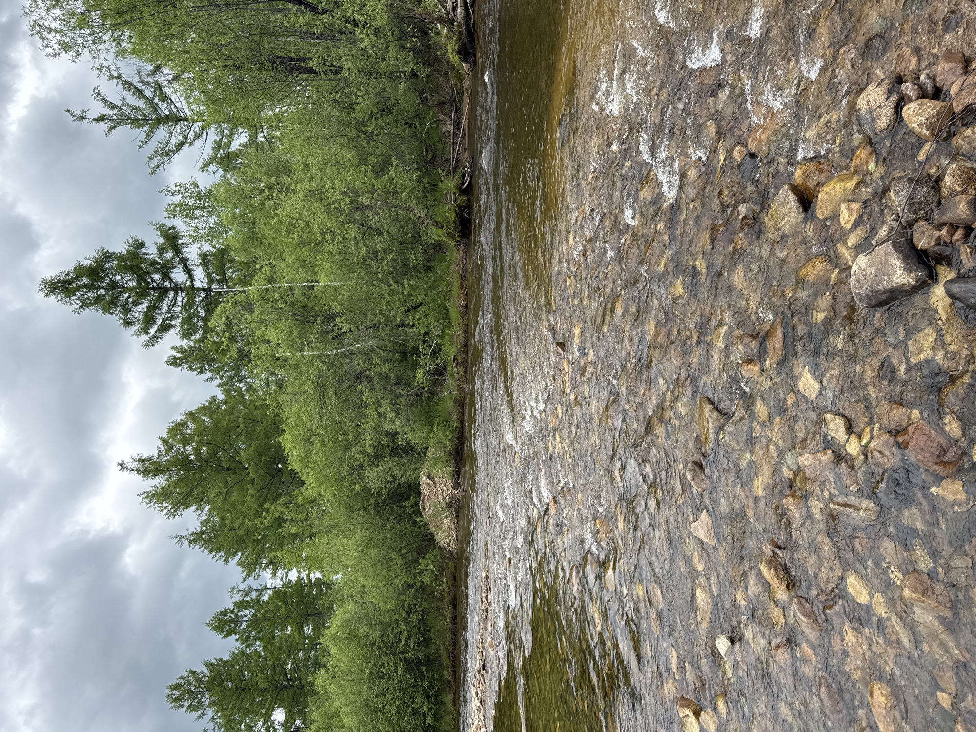 The image depicts a natural scene featuring a shallow river flowing over a rocky bed. Lush green trees and bushes line the riverbanks, with a cloudy sky overhead. The water is clear enough to see the submerged stones, which vary in size and color. The overall environment suggests a wilderness or rural setting. There are no people or man-made structures visible in the image.
