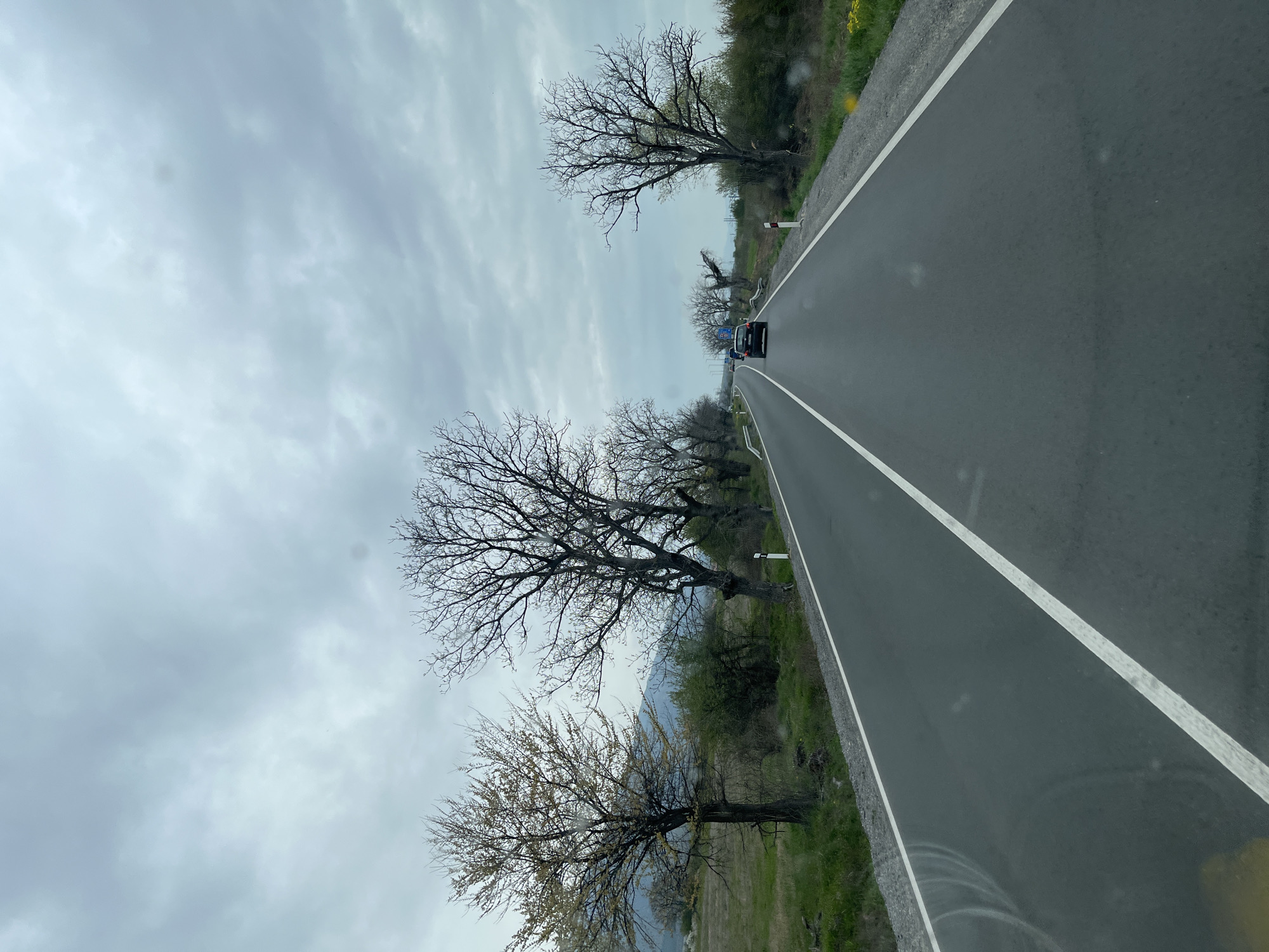 The image shows a gray asphalt road in Pevtsite, Bulgaria, with a double yellow line marking the center. A dark car is driving away from the camera. Bare trees line the roadside on both sides. The sky is overcast and gray. The surroundings appear rural, with fields visible on the left side.