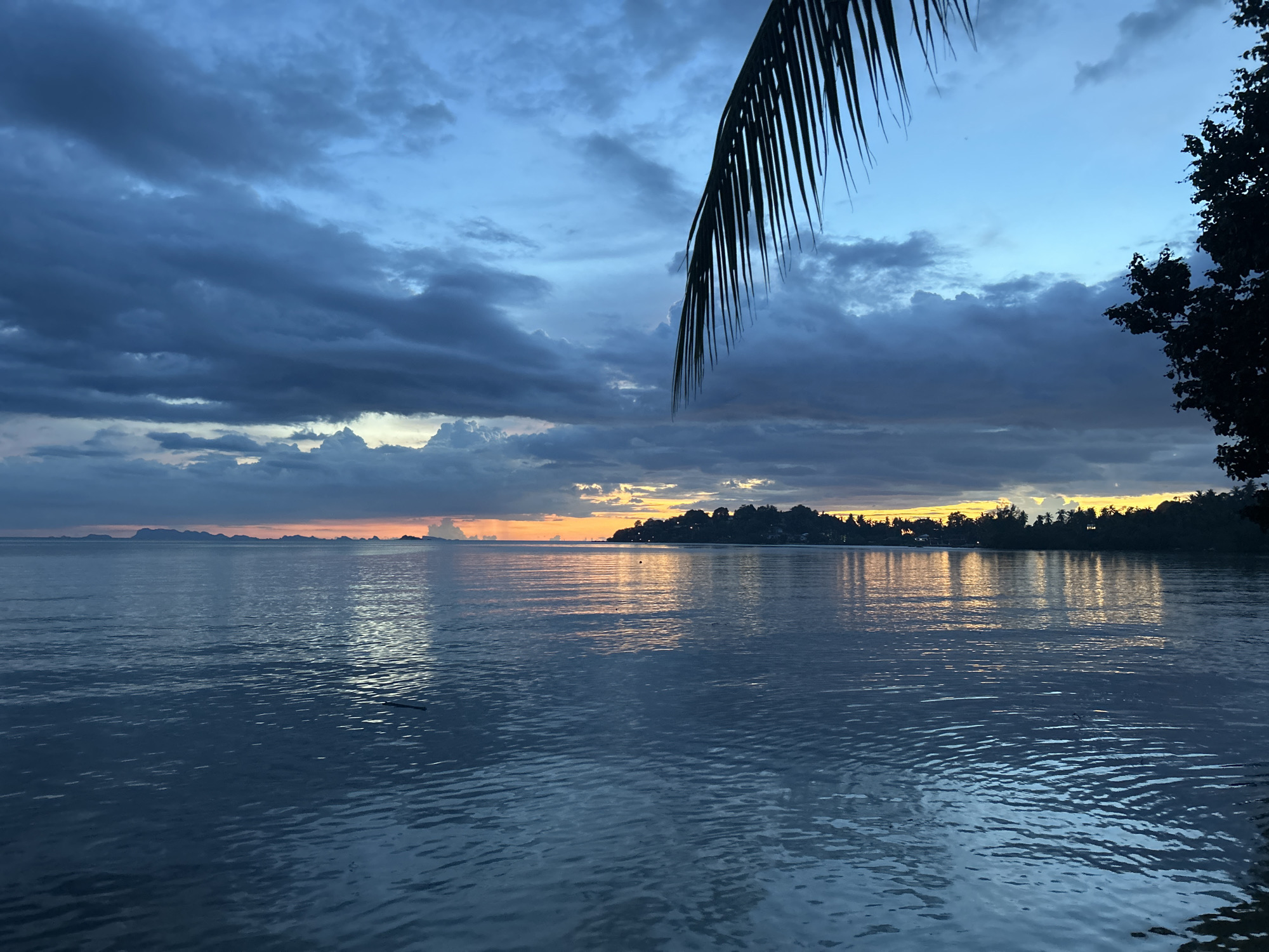 This is a landscape photograph taken at dusk, likely on the island of Koh Phangan, Thailand, in the Tambon Ko Phangan. The scene depicts a tranquil body of water, possibly the sea, with a distant shoreline characterized by a line of trees and structures. The sky above is a dramatic mix of deep blues and grays, with dark clouds gathering in the upper portion, contrasting with lighter hues and hints of orange and yellow near the horizon, suggesting the last light of sunset or the approaching dawn. A palm frond hangs into the frame from the upper left, partially obscuring the sky, and a dark silhouette of foliage is visible on the right edge of the image. The water's surface is calm, reflecting the colors of the sky and the distant land. The overall atmosphere is serene and evokes a tropical evening.