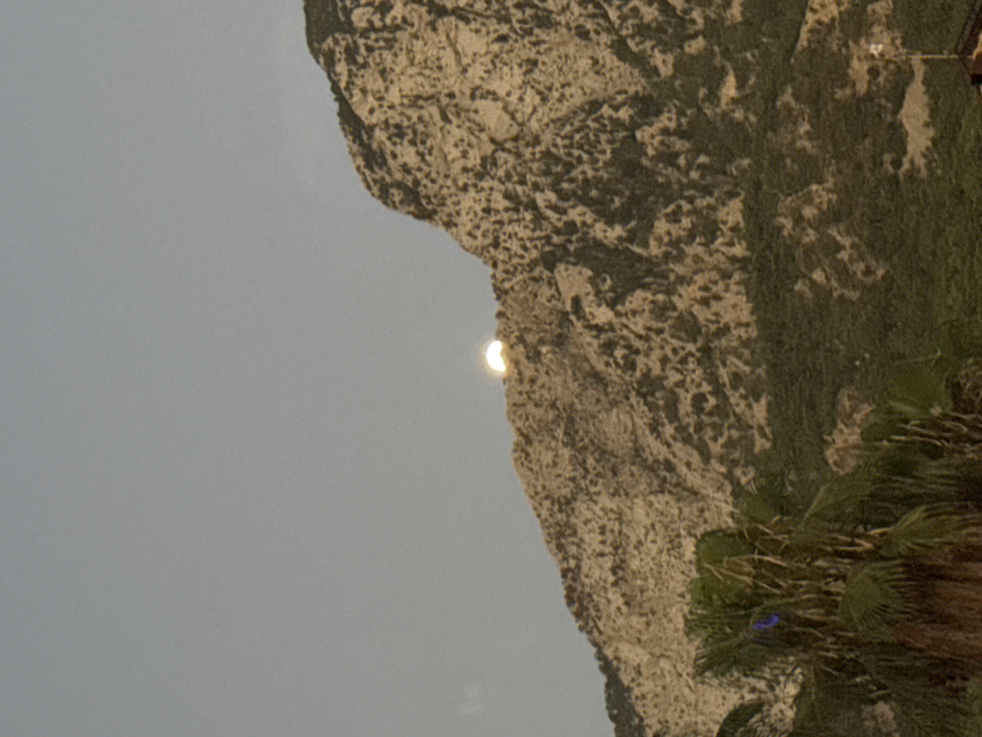 The image captures a mountainous landscape with a partially visible moon rising above a ridge. In the foreground, there are palm trees, suggesting a tropical or subtropical environment. The sky is a muted greyish-blue, indicating either dawn or dusk. The mountains are rugged and rocky, covered in sparse vegetation on their lower slopes. The scene appears to be a natural landscape with some man-made elements, possibly buildings or structures, visible at the very bottom edge of the frame, suggesting proximity to a populated area. The specific location in Kemer, Turkey, is not explicitly identifiable from the visual elements alone.