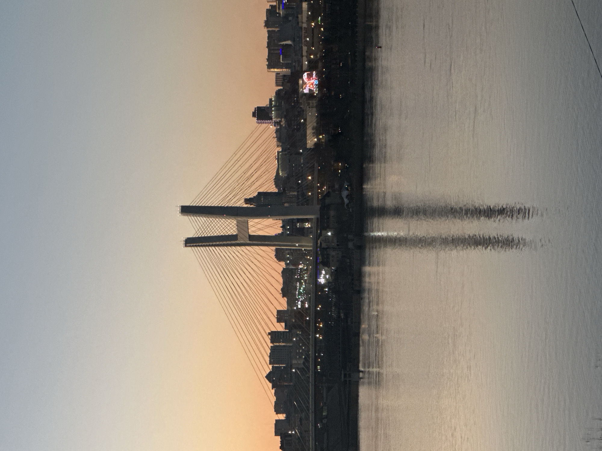 The image captures a serene urban landscape at dusk or early night, featuring a prominent cable-stayed bridge spanning a wide body of water, likely a river. The scene is dominated by the bridge's intricate cable structure, with its main pylon positioned on the left side of the frame, extending upwards and supporting numerous cables that fan out across the width of the bridge.
On the far bank, a silhouette of a city or town is visible, characterized by various buildings and the warm glow of numerous artificial lights, indicating urban activity. These city lights are reflected in the calm surface of the water, creating elongated streaks of light that shimmer beneath the city and the bridge. The water itself appears relatively still, allowing for clear, though slightly distorted, reflections.
The sky, occupying the upper left portion of the image, displays a soft gradient of colors, transitioning from a cooler light blue-grey on the left to warmer hues of orange and pink towards the right, suggesting either a setting sun or lingering twilight. No specific activity or individuals are discernible on the bridge or within the cityscape. There is no visible text in the image. Given the provided context, the scene depicts a view of Novosibirsk, Russia, likely featuring one of its notable bridges over the Ob River.