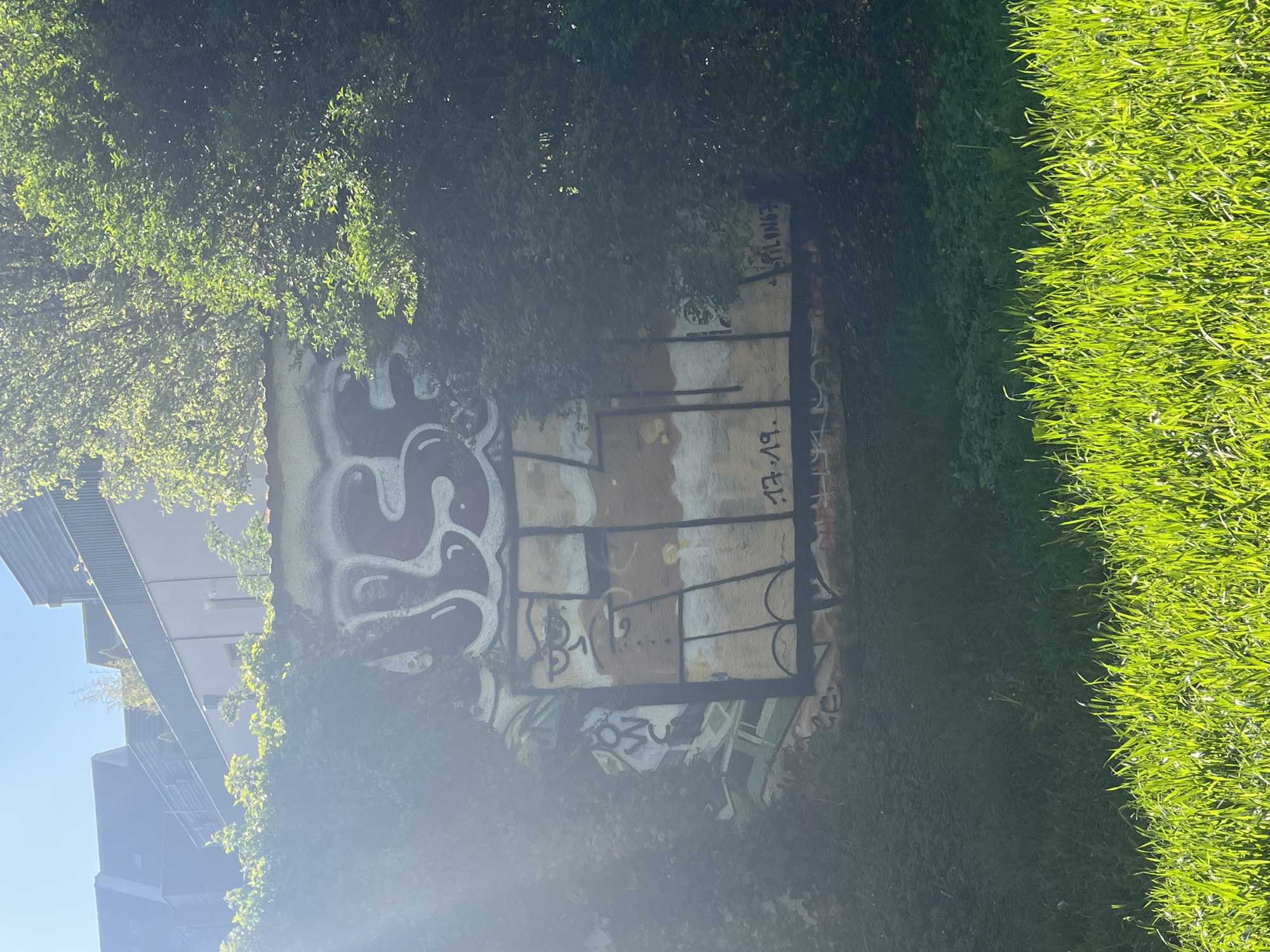 The image captures an old, graffiti-covered structure partially obscured by foliage. The structure appears to be a wall or an abandoned building element, featuring remnants of a window or gate with black vertical and horizontal bars. The graffiti is multicolored and abstract, with a prominent white and red tag on the left side. The surrounding vegetation includes lush green grass to the right and trees or bushes with dense green leaves at the top and bottom. The scene is bathed in sunlight.
While I cannot definitively confirm the exact location in Strasbourg, France based on this image alone, the architectural style and vegetation suggest a European urban environment. The graffiti and dilapidated state of the structure indicate an area possibly overlooked or abandoned.