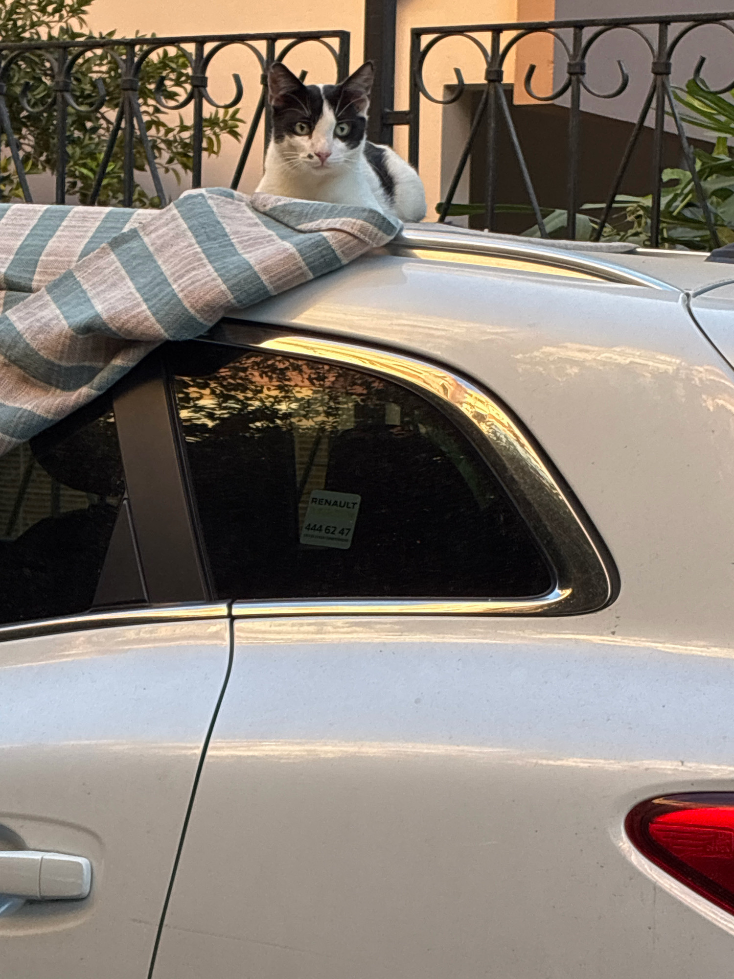 A black and white cat with green eyes is perched on top of a white car in Alanya, Turkey. The cat is lying on a striped blanket that covers part of the car's roof. The car's windows are tinted, and a sticker with "RENAULT" and a phone number is visible on the rear passenger window. In the background, a black metal fence and green foliage can be seen. The sunlight is reflecting off the car's surface.