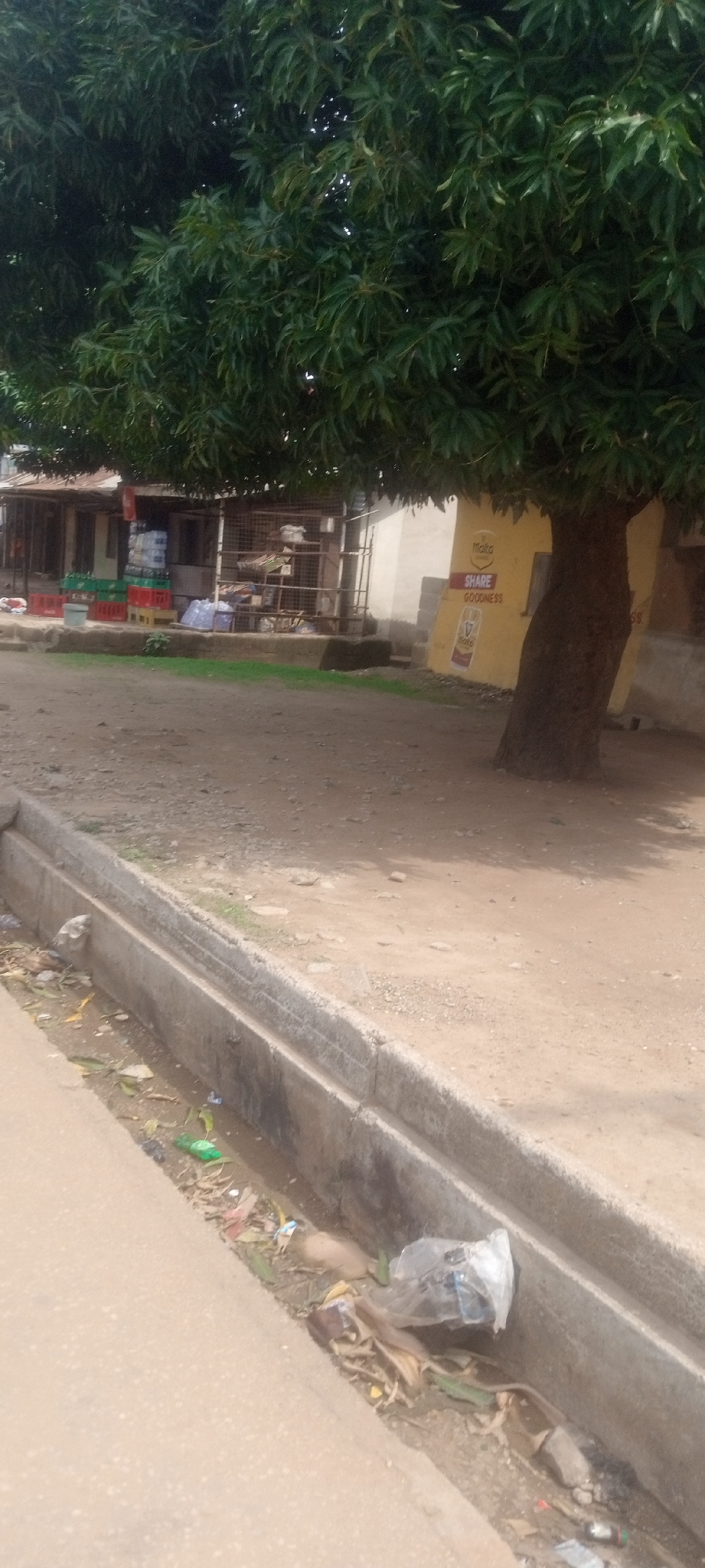 The image captures a street scene in Sabon Tasha, Nigeria. A tree with dense foliage dominates the upper portion of the frame, casting a shadow on the ground beneath. To the left, a building with a corrugated iron roof and a stall selling beverages is partially visible. Adjacent to the tree, a yellow building with signage that reads "SHARE GOODNESS" is evident. In the foreground, a concrete drainage ditch is filled with litter, including plastic bags, wrappers, and debris. The ground is primarily dirt.