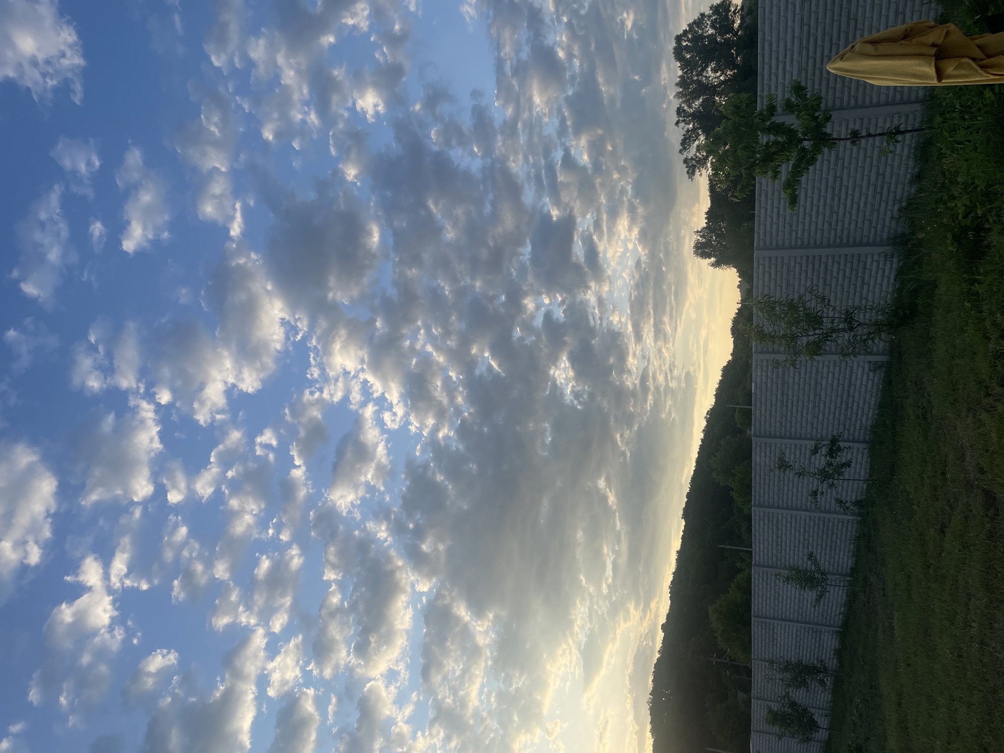 The image displays an outdoor scene in Petrivka, Ukraine, at what appears to be late afternoon or early evening. The upper two-thirds of the frame are dominated by a vast sky filled with scattered cumulus clouds, illuminated by a low sun visible on the far left horizon. The clouds exhibit varying shades of white and grey, with some undersides catching a warm, golden light.
The horizon line reveals a dark, forested hill or mountain range on the left, silhouetted against the lighter sky. A long, grey concrete fence, constructed from segmented panels with a horizontal brick-like texture, extends across the mid-ground, acting as a clear boundary. Behind the right portion of this fence, additional dense trees are visible, also appearing as dark silhouettes.
The foreground consists of a grassy area, appearing verdant but somewhat dim, suggesting it is in shadow. Planted along the concrete fence are several small, deciduous trees with slender trunks and green foliage. In the far right foreground, a bright yellow garment or towel is draped vertically over an unseen support structure, adding a distinct color element to the scene. No individuals or animals are present.
