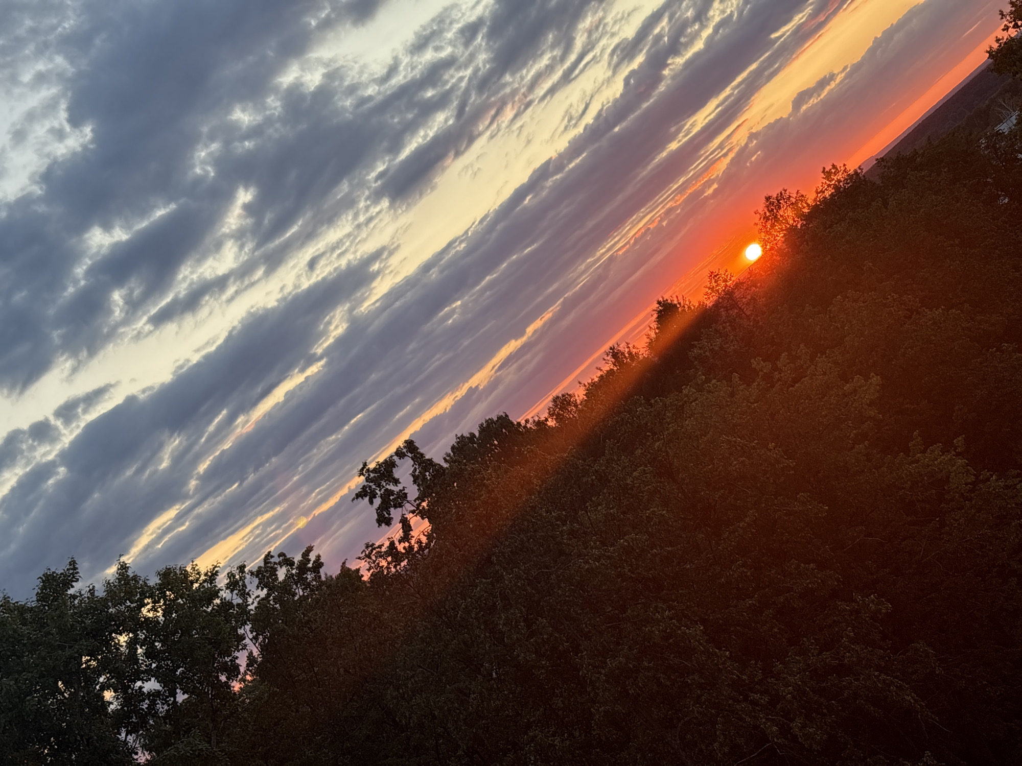 The image depicts a sunset viewed from a tree-covered hillside, looking towards the city of Chaikovsky, Russia. The sky is filled with dramatic clouds, ranging from deep grays and purples to lighter oranges and yellows, illuminated by the setting sun which is a bright, intense orange disc peeking through the treeline. The foreground is dominated by the dark silhouettes of dense foliage, suggesting a vantage point from within a forest or heavily wooded area. The lower portion of the image reveals a faint glimpse of distant structures, likely part of the urban landscape of Chaikovsky, under the vast expanse of the sunset sky. The overall scene is characterized by the striking contrast between the dark vegetation and the vibrant, colorful sky.