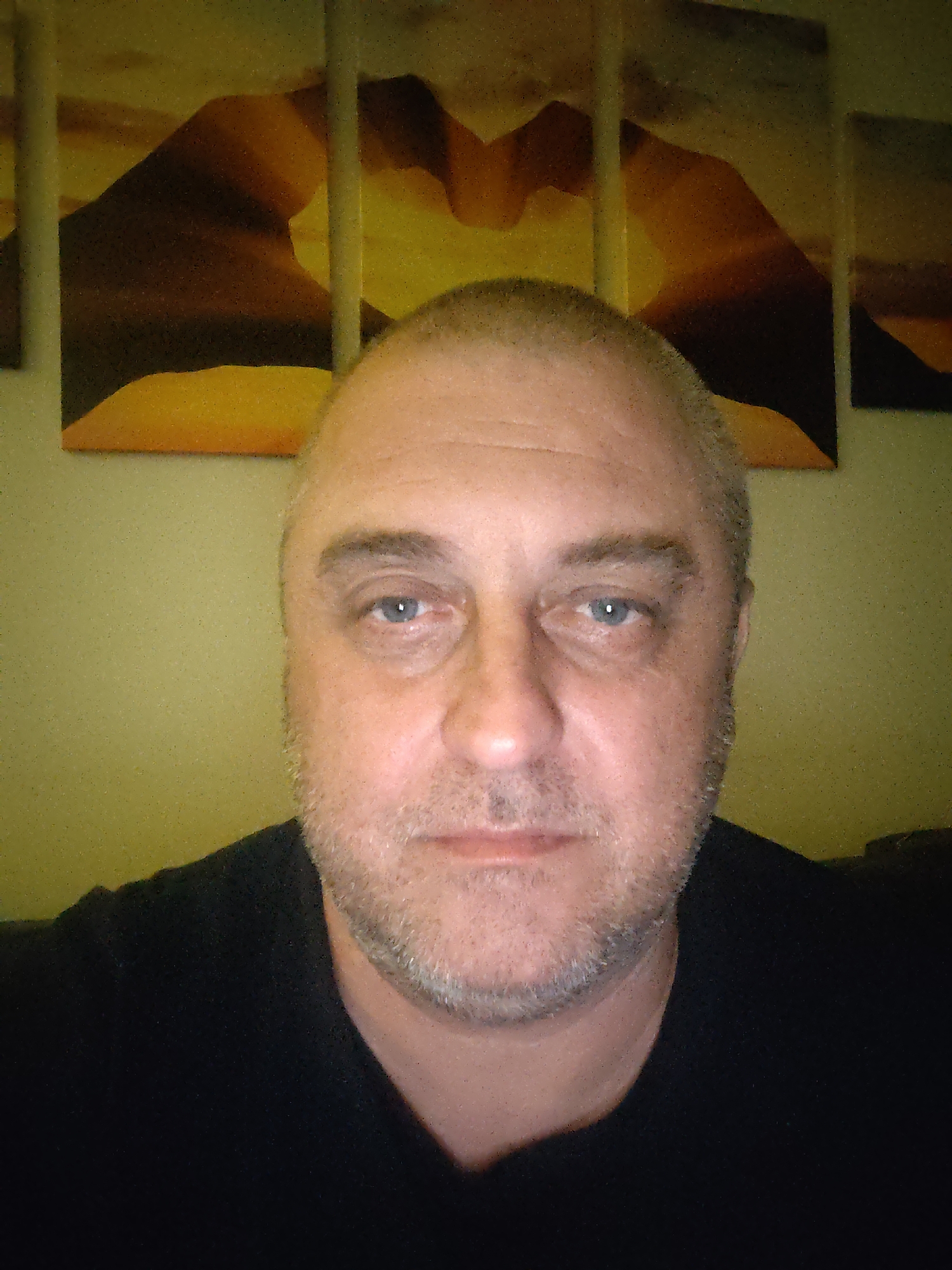 The image presents a head-and-shoulders portrait of a middle-aged Caucasian male with fair skin, light blue eyes, and short, salt-and-pepper hair and beard stubble. He maintains a neutral expression and looks directly at the camera. He is wearing a dark, possibly black, crew-neck top. The background features a light yellow-green wall adorned with a multi-panel abstract artwork in warm tones of brown, orange, and yellow, suggestive of stylized landscapes or geometric forms. The lighting is internal, and the image exhibits noticeable digital noise. The specific location in Huntingdonshire, United Kingdom, cannot be determined from the visual information provided in the image.