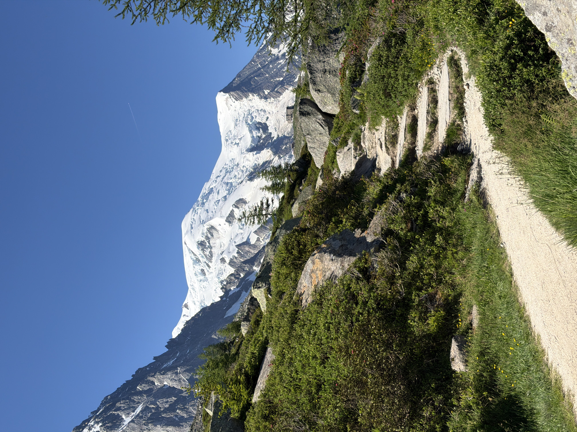 This image depicts a scenic mountain landscape with a clear blue sky. In the background, a snow-capped mountain range dominates the horizon, with a glacier visible on its slopes. A small building is situated on the mountain in the distance. In the foreground, a dirt path winds its way up a grassy slope dotted with rocks and shrubs. A few trees are scattered throughout the scene. The location is likely Chamonix-Mont-Blanc, France, a town renowned for its proximity to Mont Blanc and its stunning alpine scenery. There are no people visible in the image.