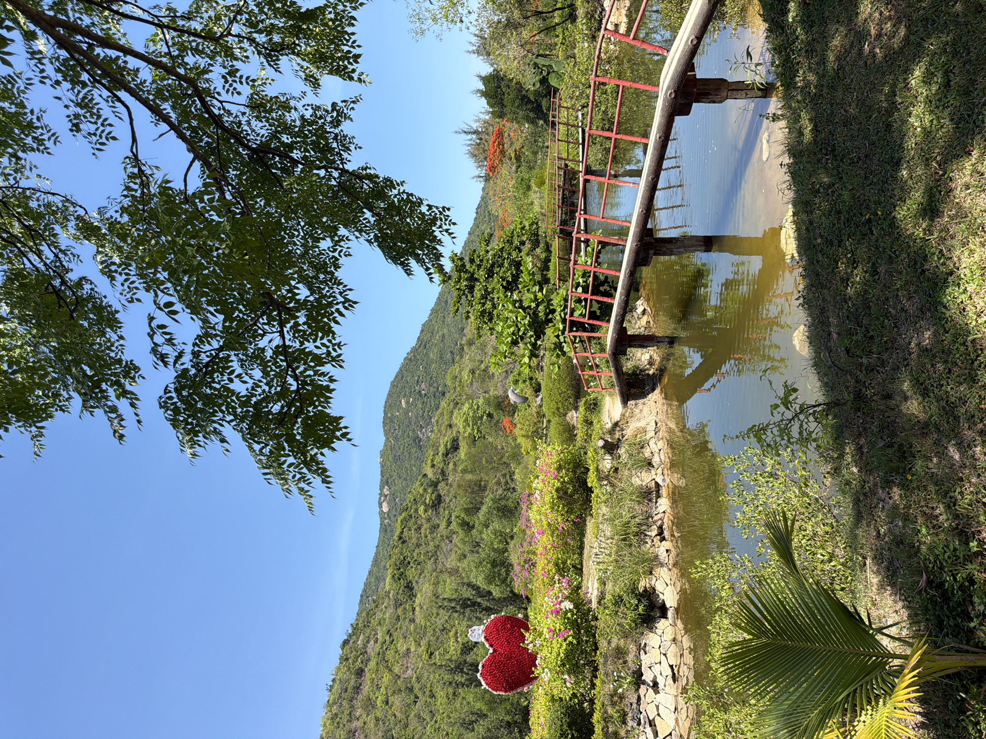 This is a sunny day at a park in Hoa Thang, Vietnam. A body of water with a small wooden bridge spans across it. The bridge is painted red on the railings and has wooden planks for the walkway. Green trees and lush vegetation surround the water. In the background, a large red heart sculpture made of flowers stands prominently. Further back, green hills rise under a clear blue sky.