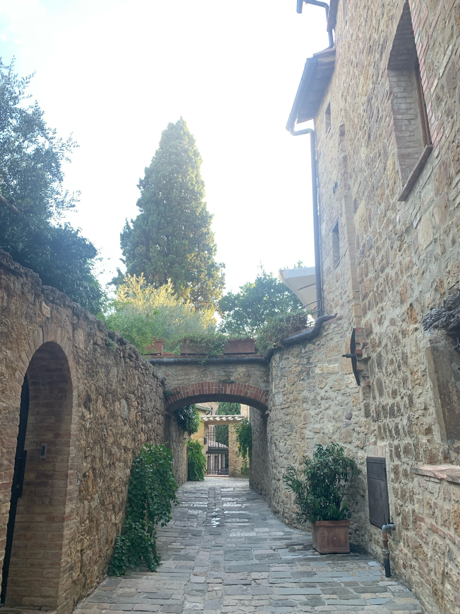 The image depicts a narrow cobblestone alleyway in San Quirico d'Orcia, Italy, lined with ancient stone buildings. On the left, a textured stone wall with a large archway forms the side of the path. To the right, another stone building with visible brick accents and a window rises vertically. A tall, slender cypress tree is prominent in the background, framed by lush greenery and a bright, washed-out sky. The path itself is paved with irregular stones, some of which appear damp, suggesting recent rain. Several potted plants are placed along the pathway, adding a touch of life to the historic setting. An arched entryway in the distance reveals a glimpse of a wrought-iron gate. There are no people or animals visible in the scene.