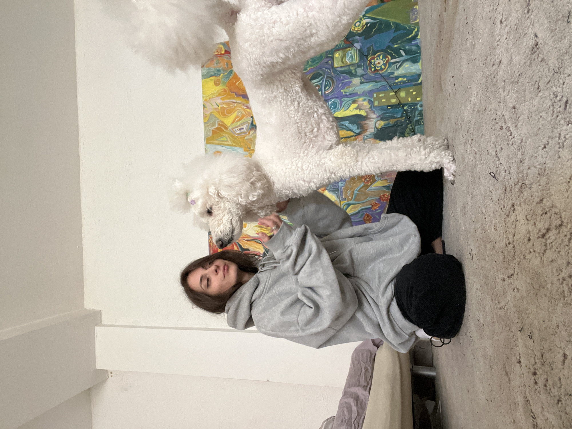 A woman wearing a gray hoodie and black pants is sitting with a white poodle in front of a colorful painting. The environment appears to be indoors, with a partially visible bed and off-white walls. The location is not discernible.