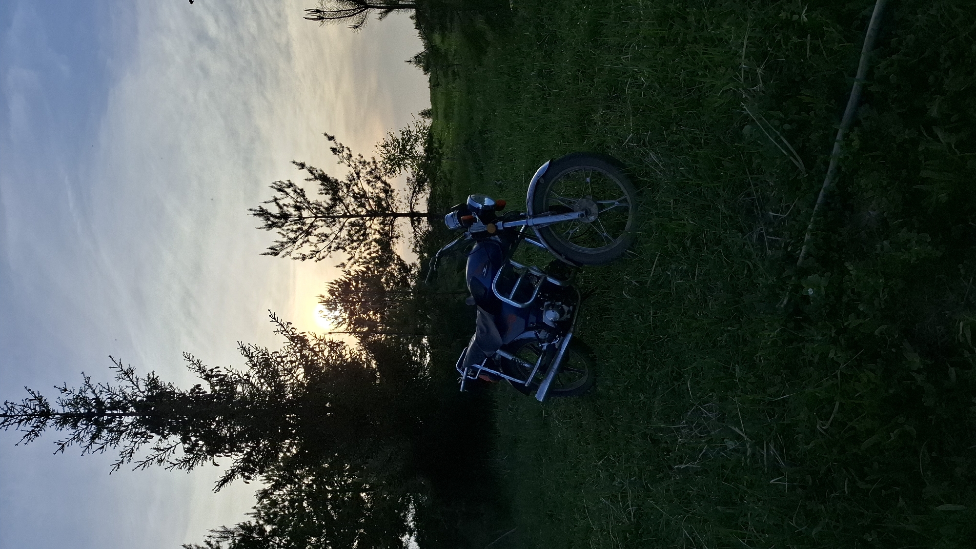 A motorcycle is parked in a grassy field at sunset, with trees silhouetted against the sky. The location is Шешурга, Russia.