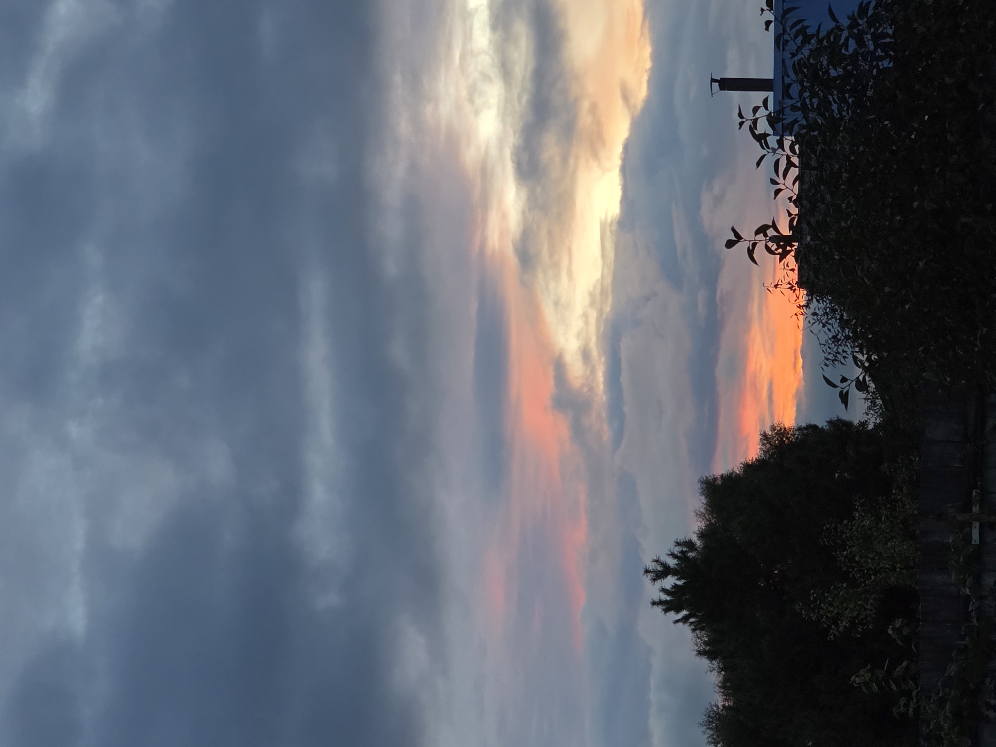 This is a vertical, eye-level, medium shot of a sunset over a suburban area. The sky is filled with dark gray clouds at the top, transitioning to lighter gray and then to streaks of pink and orange as the sun sets lower. In the foreground, the dark silhouettes of trees and bushes obscure the lower portion of the image. A dark fence is visible at the very bottom. On the right side of the image, the top of a blue building with a dark chimney is visible behind the foliage. There are no people or animals in the frame. The scene is likely in the city of Речицы, Russia, based on the provided location context.