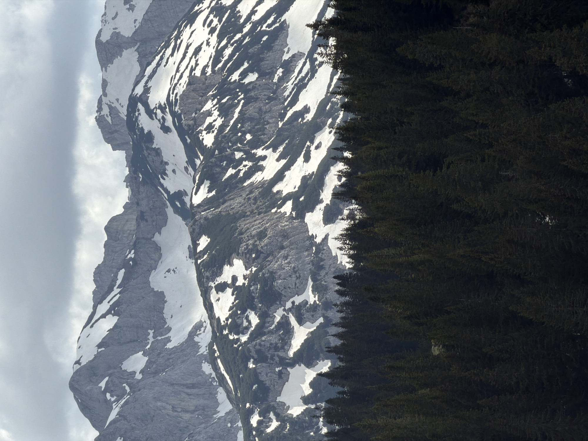 The image depicts a mountain range partially covered in snow, juxtaposed against a dense forest. The mountains are predominantly grey rock, with patches of white snow clinging to their slopes. The forest consists of dark green coniferous trees. The left side of the mountain faces a grey sky, partially obscured by clouds. The picture's location in Bosača, Montenegro, cannot be confirmed with the information available in the image. There are no visible people, actions, or interactions. The scene is a natural landscape showing the meeting of alpine and forest environments.
