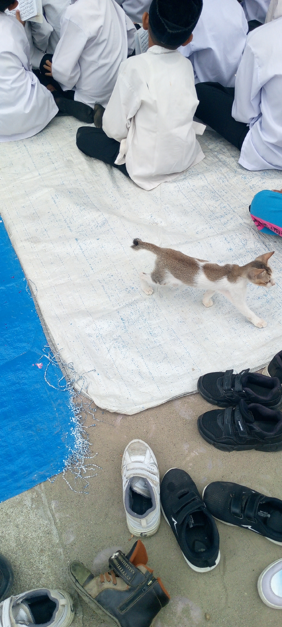 A young, brown and white tabby kitten walks on a white tarp spread on sandy ground. Several children, dressed in white religious garments and black skullcaps, sit on the tarp. The children appear to be reading from books. Several pairs of children's shoes, including black sneakers and a brown and black boot, are scattered around the edge of the tarp. A blue tarp is partially visible on the left side of the image. The scene appears to be outdoors, possibly at a religious school or event in Baratpayaitek, Indonesia.