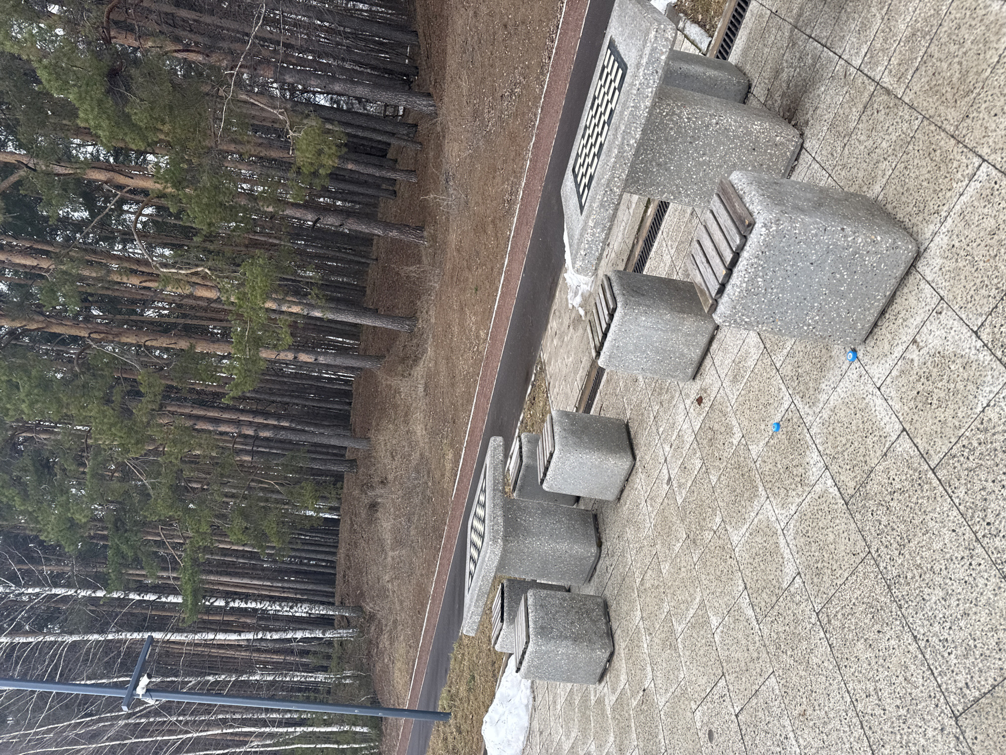 The image shows an outdoor chess/checkers table with four accompanying seats, all constructed from a light gray, speckled concrete material with wooden slats on the seats. The table is located on a paved area with a tile pattern. Behind the table, there is a narrow strip of ground covered in brown vegetation, followed by a dense forest of tall trees. The scene appears to be in a park or recreational area. The blue plastic bottle cap in the foreground is located on the ground near the base of one of the stone seats. The table is situated next to a brown running trail. Based on the location in Chaikovsky, Russia, it is likely to be located in a public park. The weather appears to be cold, with the absence of foliage, suggesting a late fall or winter season.