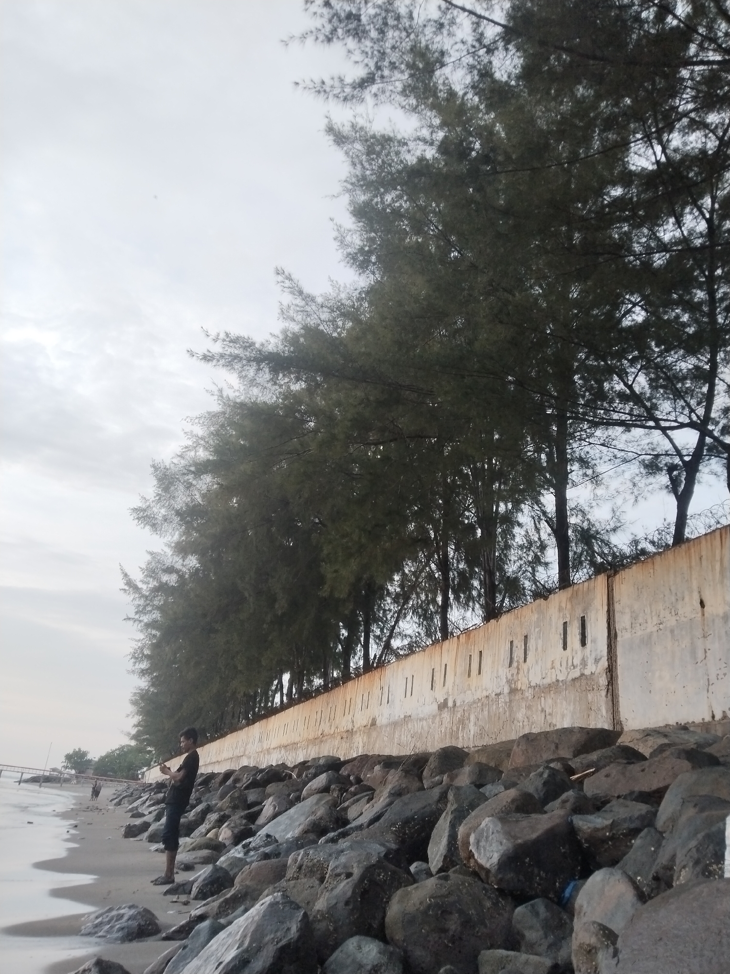 This image depicts a coastal scene in Lhokseumawe, Indonesia. In the foreground, a rocky shoreline transitions into the ocean with gentle waves. A person, appearing to be a young man dressed in a black t-shirt and dark pants, stands on the sand near the rocks, looking down at their phone. Behind him, a long, weathered concrete wall runs along the coastline, topped with barbed wire. A line of tall trees, likely casuarinas, grows behind the wall, their branches reaching towards the overcast sky. In the distance, a pier extends into the sea, and the shoreline continues with more vegetation. The overall atmosphere is subdued, likely due to the cloudy weather.