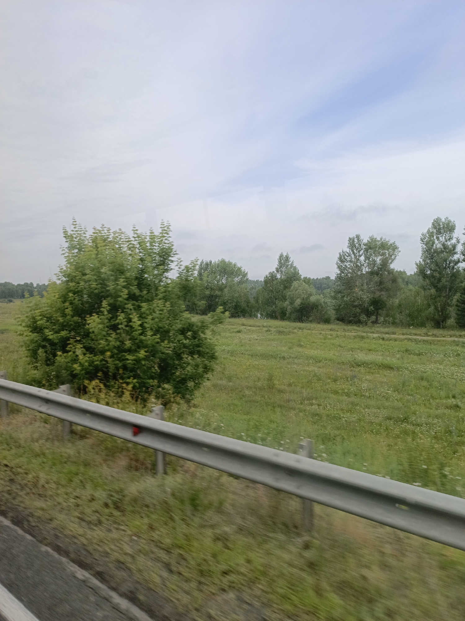 The image depicts a roadside view in Akulovo, Russia. A metal guardrail runs along the bottom left of the frame, blurring into the foreground as if captured from a moving vehicle. Beyond the guardrail, a field of green grass with scattered small white flowers stretches towards a line of trees in the background. A large, dense green bush is prominent in the mid-left of the scene, positioned in front of the tree line. The sky above is overcast with patches of blue visible. No people or animals are present in the image.