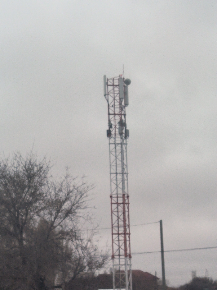 An image captured in Kungrad, Uzbekistan, depicts a tall, lattice-structured telecommunications tower ascending into an overcast, light grey sky. The tower's metal framework is painted in alternating sections of red-brown and silver-white. Near the top, multiple rectangular cellular antenna panels and at least one circular dish antenna are mounted. A smaller, spiky antenna or lightning rod crowns the very top. To the left, a large, leafless deciduous tree with dark, intricate branches extends into the mid-frame, partially obscuring the lower half of the tower. In the background, below the horizon line, faint outlines of buildings with reddish-brown roofs are discernible. A dark vertical utility pole with horizontal wires extends across the right side of the mid-ground. No individuals or specific actions are visible within the scene.
