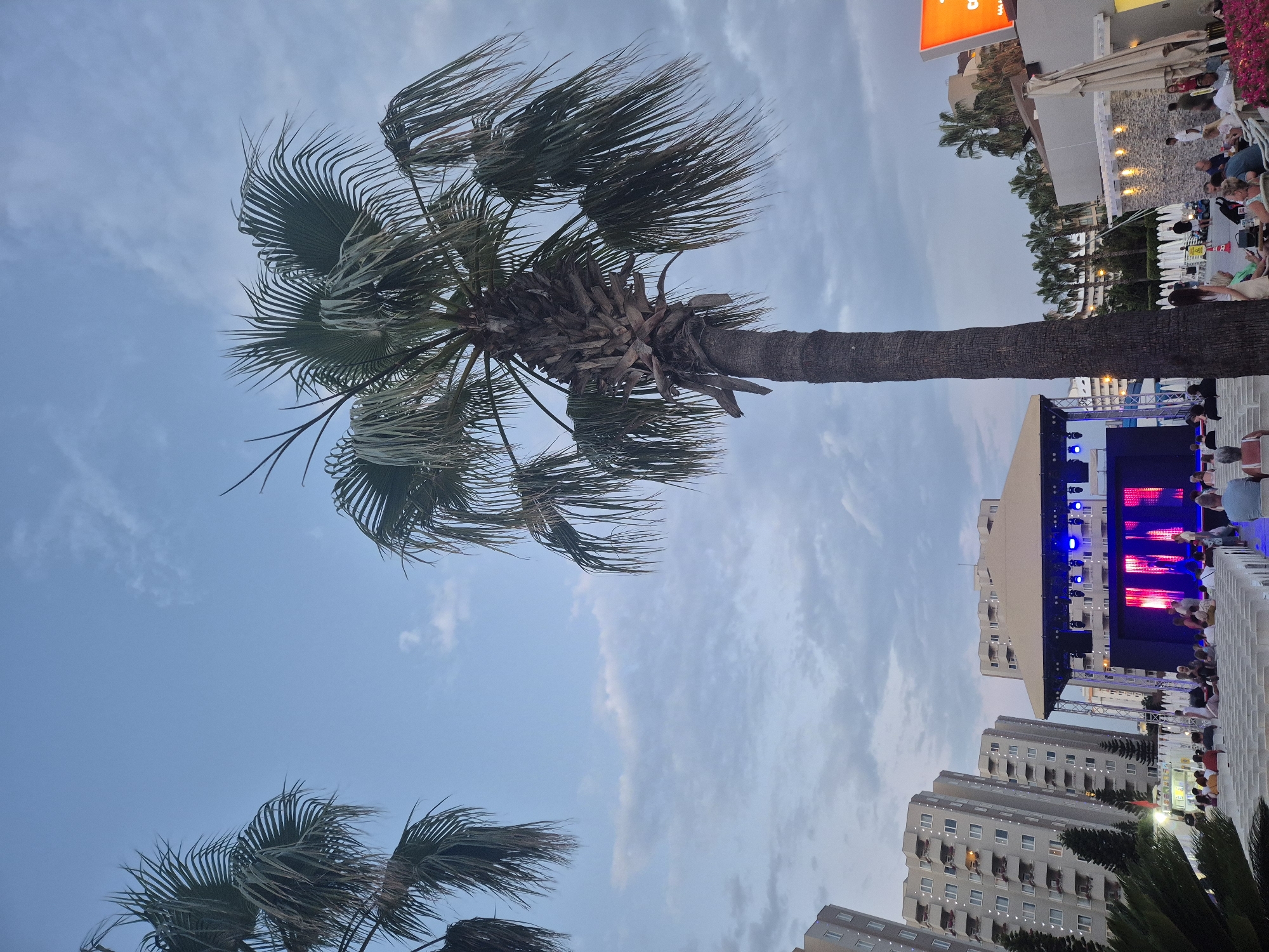 The image depicts an outdoor gathering with a stage set up in front of several multi-story buildings. A large palm tree dominates the foreground, its fronds blown by the wind against a cloudy sky. People are seated in rows facing the stage, suggesting an event such as a concert or performance. The lighting on the stage is primarily blue and red, indicating a nighttime or dusk setting. The surrounding buildings appear to be apartment complexes. A large, brightly lit orange sign is visible on the left side of the image, above a white structure that could be a restaurant or commercial establishment. The overall atmosphere seems relaxed, with an audience attending an outdoor event.