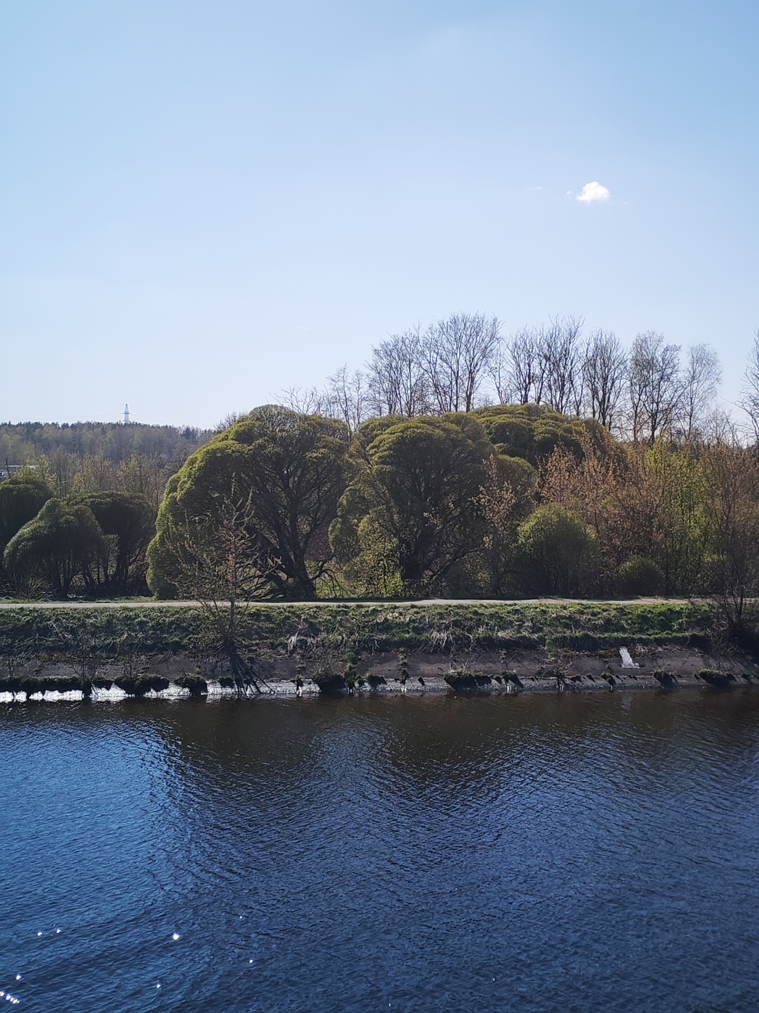 The image depicts a body of water, likely a river, with trees and foliage along the shoreline. The water is dark blue with ripples on the surface, reflecting light. The shoreline consists of a grassy bank and a muddy area with exposed roots and logs. A variety of trees and bushes with varying shades of green and brown are visible. Some trees are bare, indicating early spring or late autumn. A faint cloud appears in the clear blue sky. In the distance, an electricity pylon is visible on a distant horizon. Location: Unknown, Unknown.