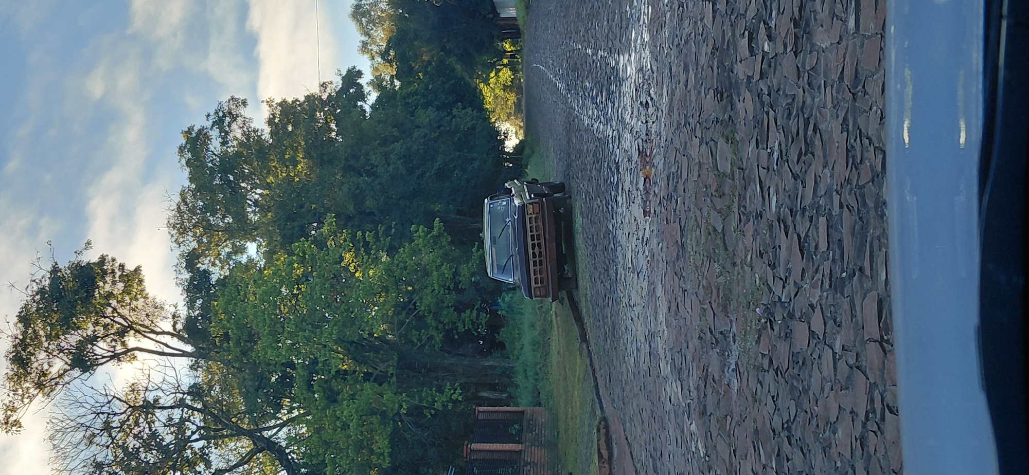 A dark-colored pickup truck, possibly from the 1970s or 1980s, is parked on a cobblestone street. The truck is facing away from the viewer and slightly to the right. The street is wet, indicating recent rain or dew. Tall trees with lush green foliage line both sides of the street, casting shadows. In the background, the sky is visible with scattered clouds. To the left of the truck, a red brick fence is partially visible, suggesting a residential or property boundary. The scene appears to be set in a semi-rural or suburban area. The image is captured from a low-angle perspective, possibly from inside another vehicle, as indicated by the blurred foreground.