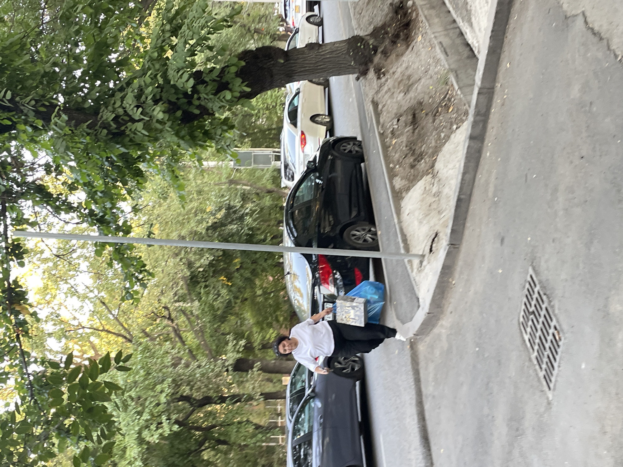 A middle-aged woman with dark hair is captured mid-stride, walking from left to right across a street. She is wearing a white t-shirt and black pants. In her right hand, she carries two shopping bags, one a blue plastic bag and the other a silver-patterned bag. The woman appears to be on a street in Almaty, Kazakhstan, with trees lining the background and several cars parked or driving on the road. One black car is visible directly behind her, and a gray car is to her left. The street is paved, with a concrete curb and a metal grate in the foreground. The lighting suggests it is daytime, with sunlight filtering through the leaves of the trees.